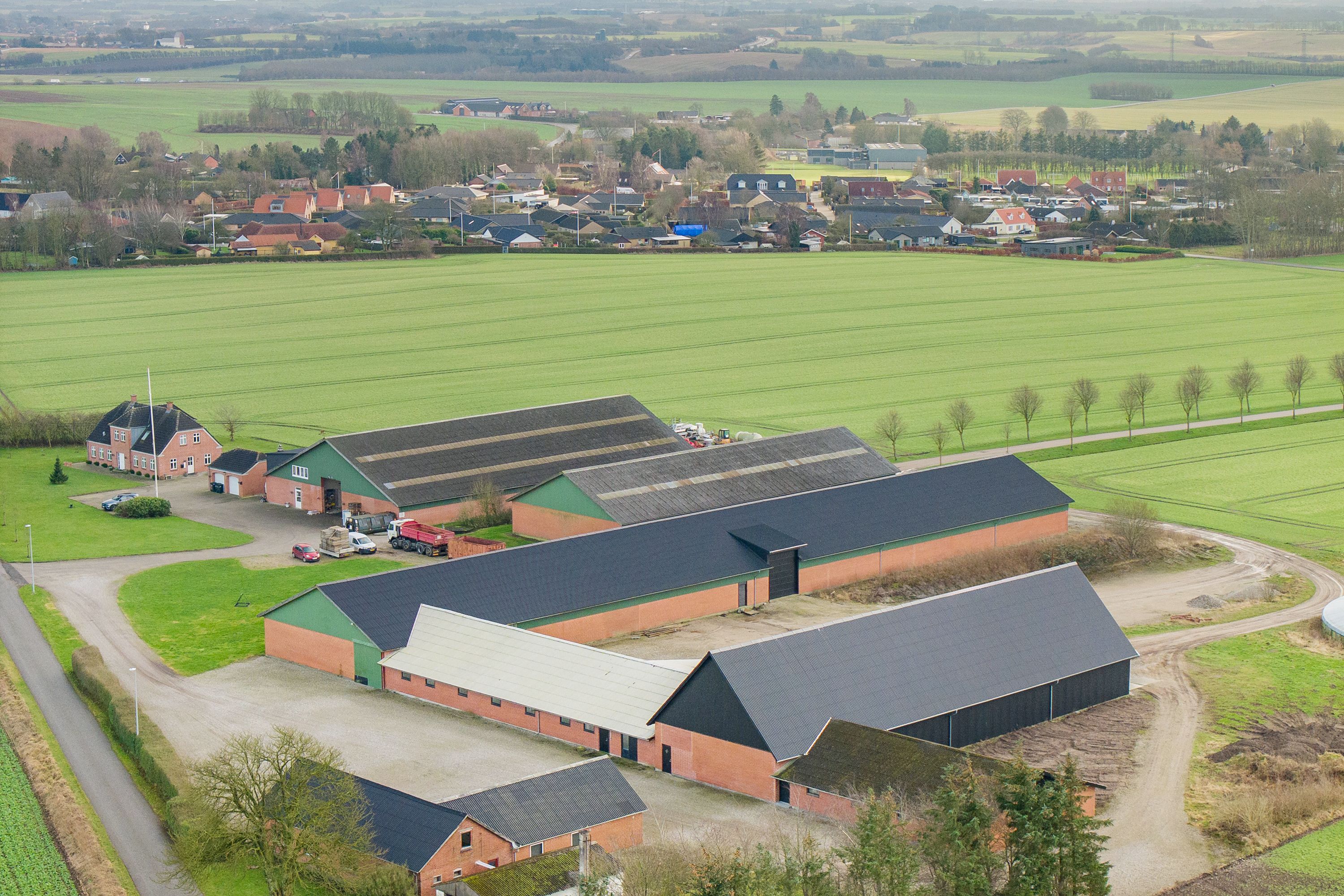 Lagerhal i Hadsten med en samlet areal på 1.500 m² med forskellige områder og funktioner. Her er en stor lagerhal med tre