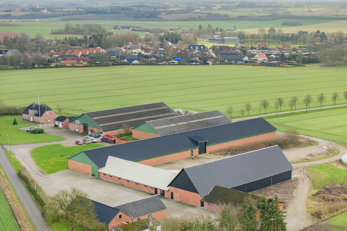 Lagerhal i Hadsten med en samlet areal på 1.500 m² med forskellige områder og funktioner. Her er en stor lagerhal med tre