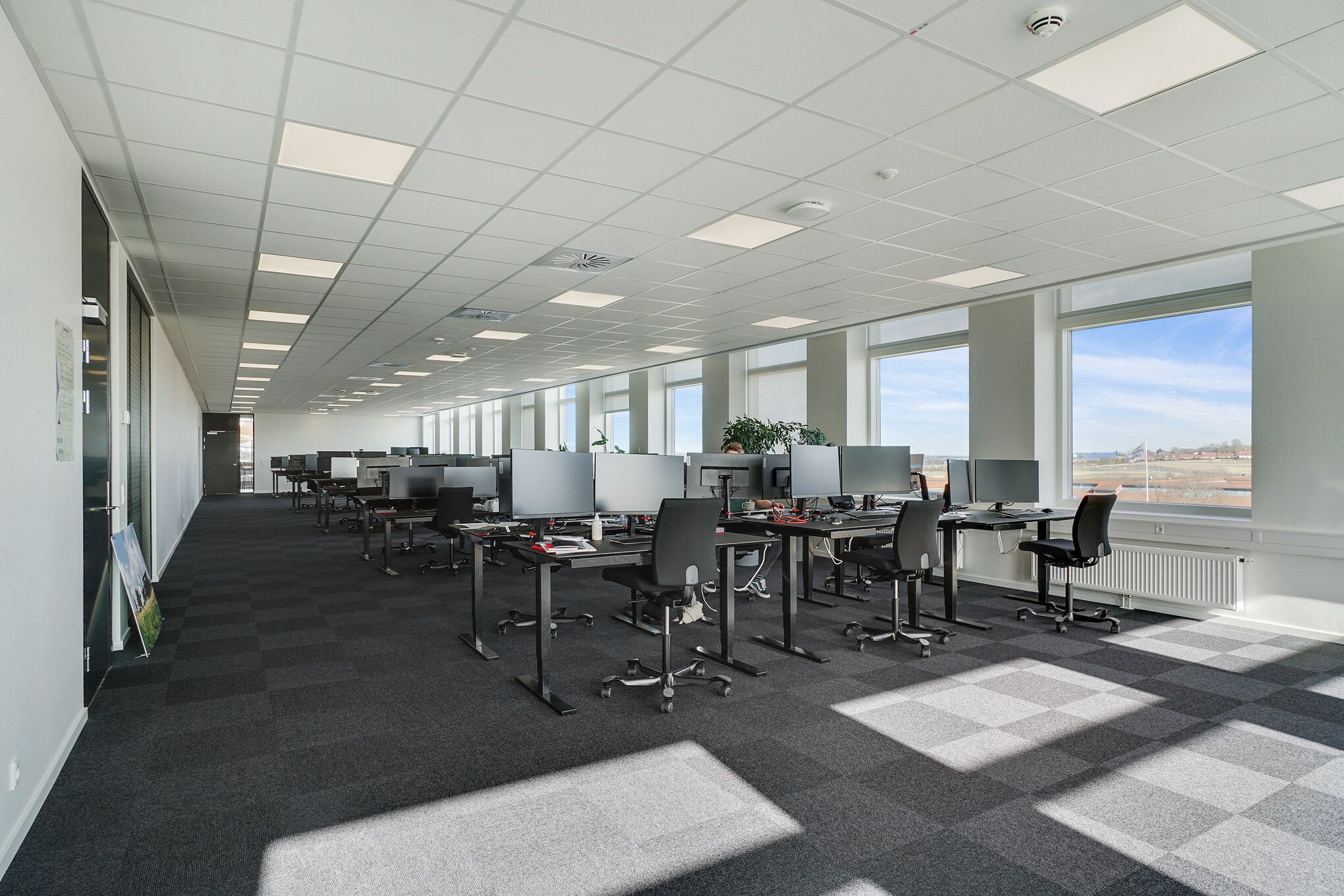 Moderne kontor med lysegule loftspaneler og tæppegulv. Værelset er fuldt med borde og stole og computere