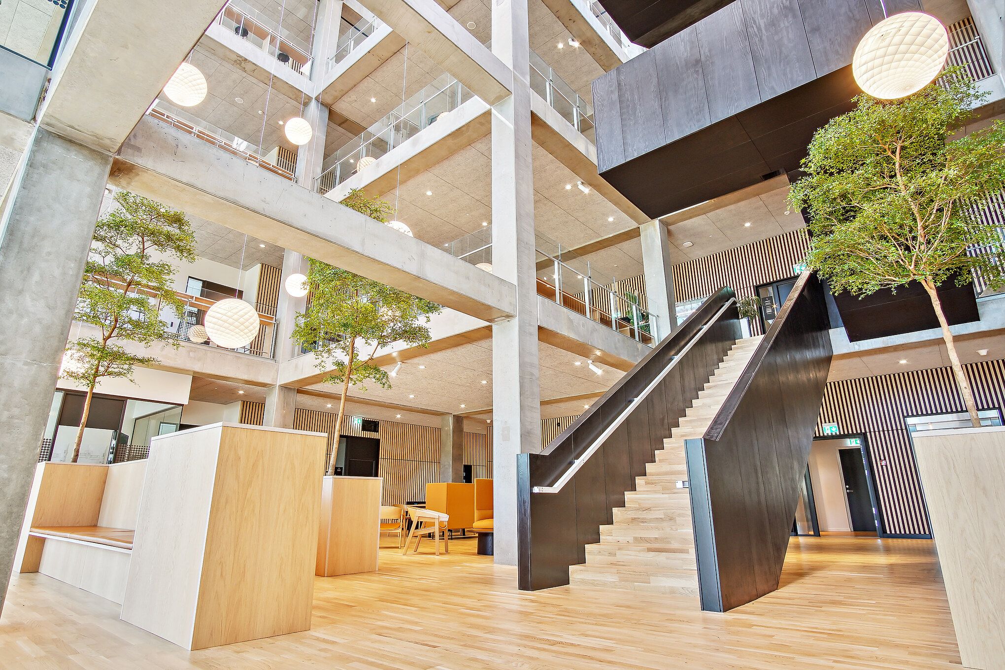 En lobby med lyse lofter og trægulve, udsmykket med store planter, lysekroner og træmøbler samt et skrånende trappeforløb