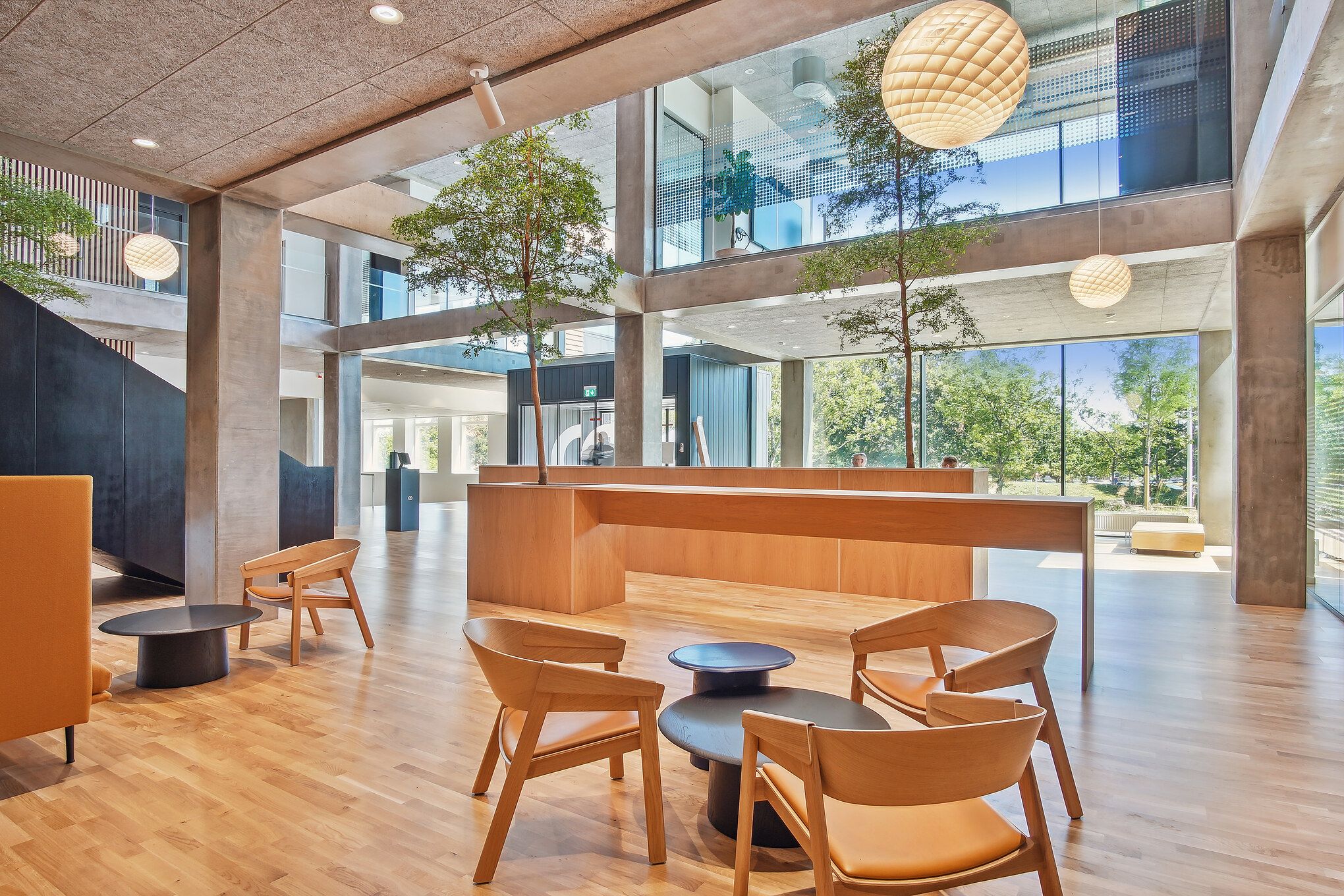 Indeni et moderne lobbyområde med høje lofter, trægulve og møbler i lysebrunt og orange. To træer og et bord er placeret på