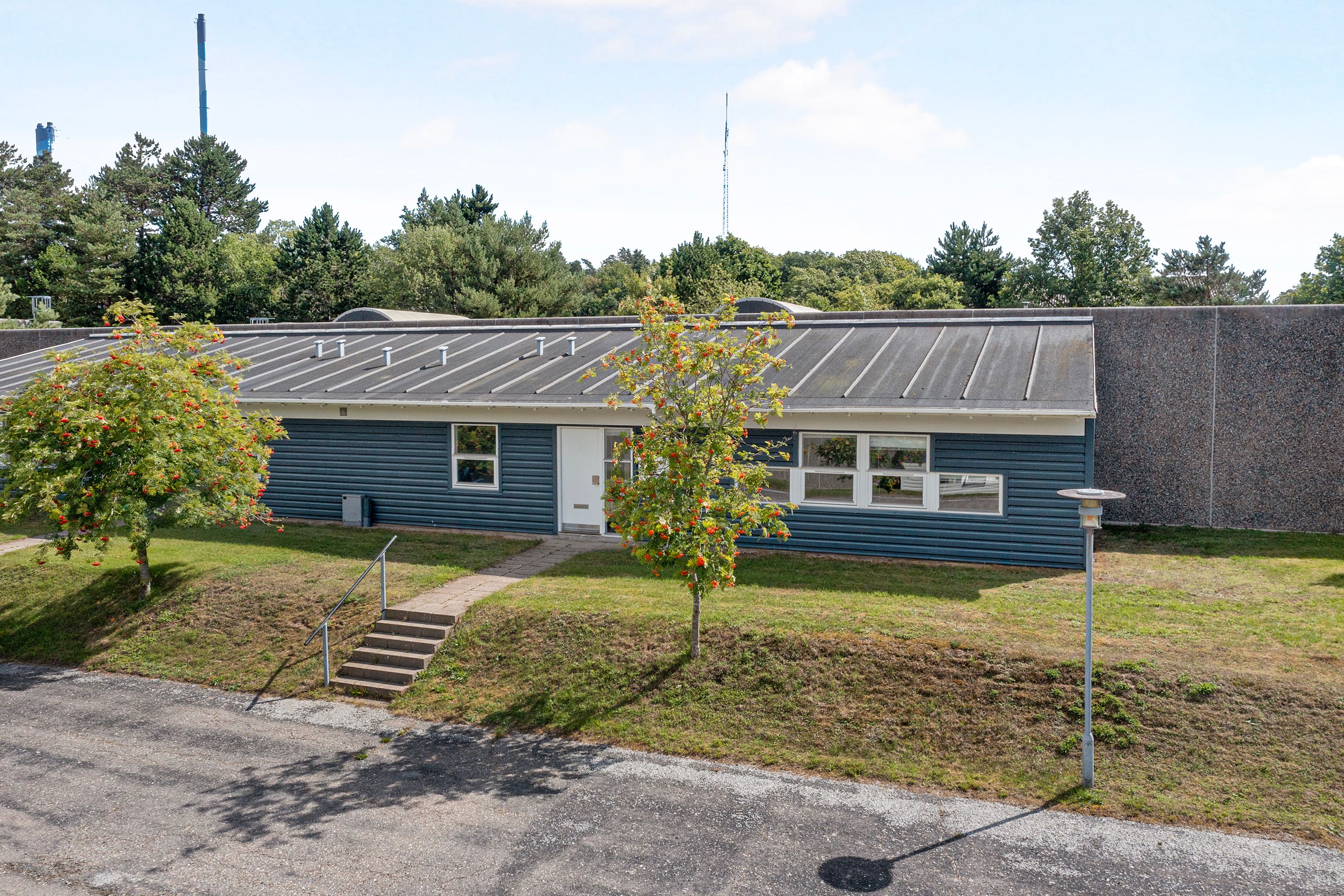 Et bygning med lyseblå facade, grøn tag, røde blomster og et område med græs, to små træer og tre trappetrin til en hvid dør
