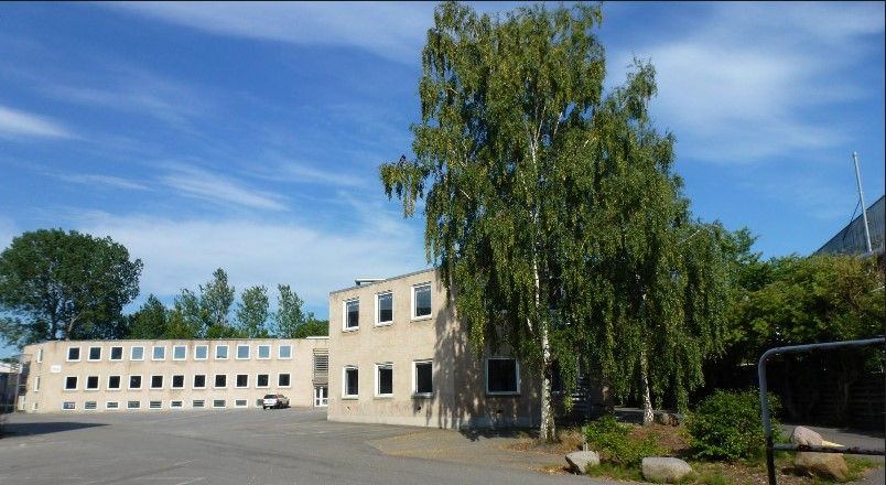 Store kontorer med mange vinduer og en parkeringsplads i forgrunden, og en stor trægruppe med en person på en høj gren