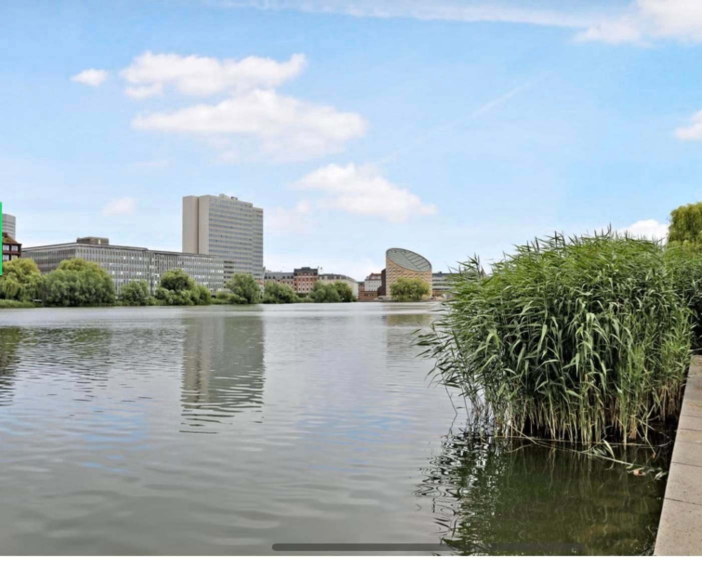 Frederiksberg med vand, bygninger, træer og en stor hvid bygning med tag og kurvet facade