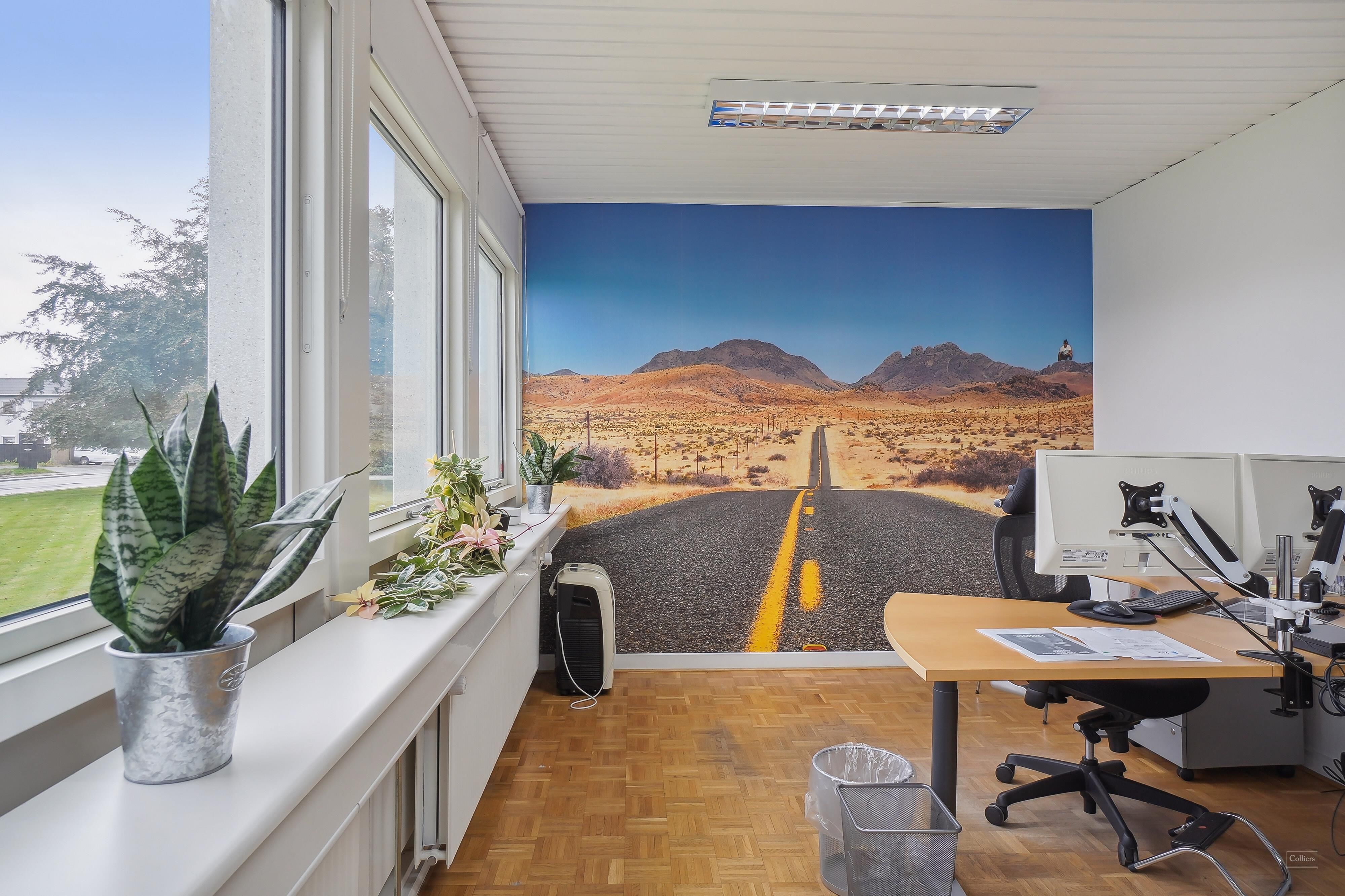 Kontor med moderne indretning, skrivebord, stol, monitor, skraldespand, planter og smukke udsigt til ørkenvej på væggen