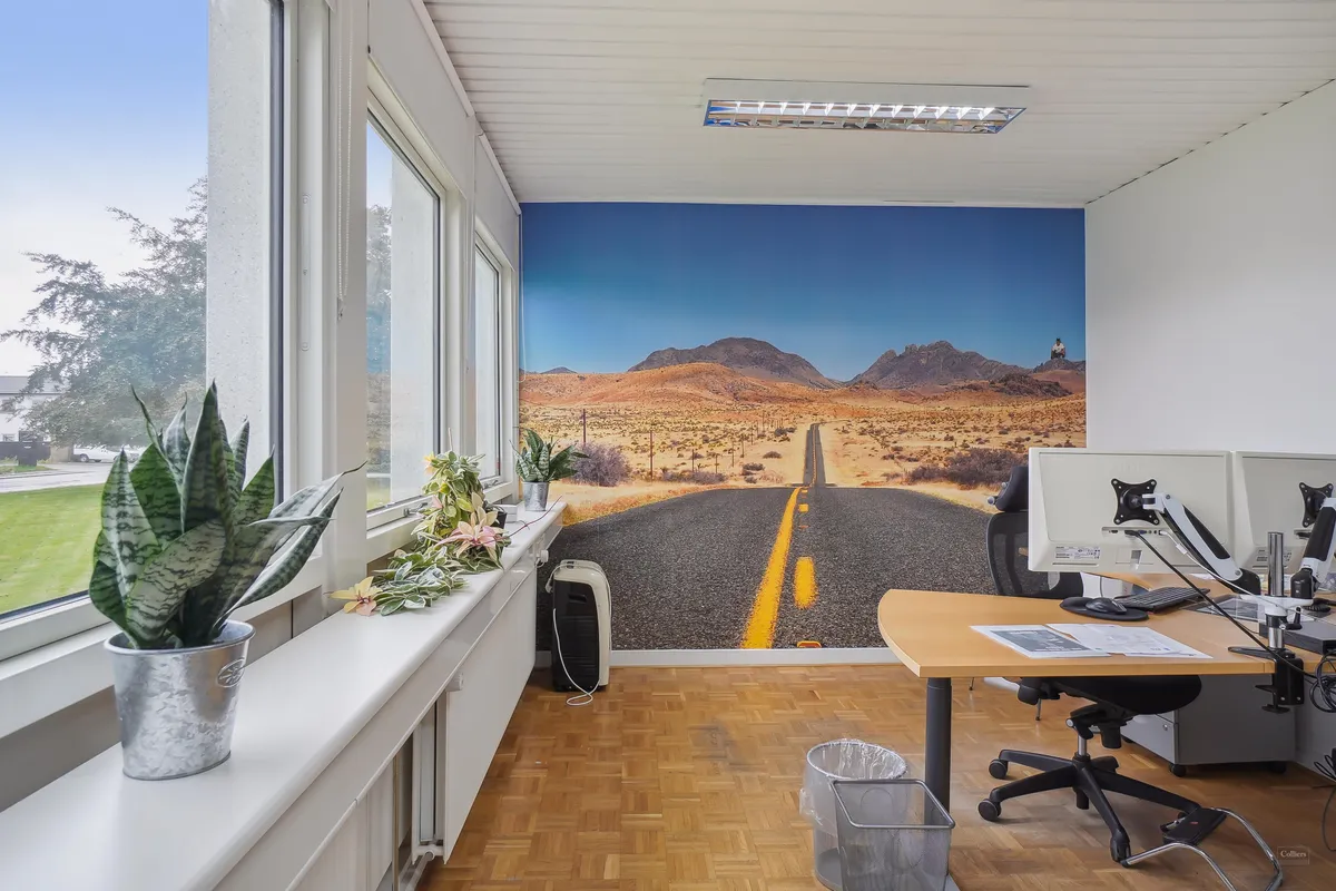Kontor med moderne indretning, skrivebord, stol, monitor, skraldespand, planter og smukke udsigt til ørkenvej på væggen