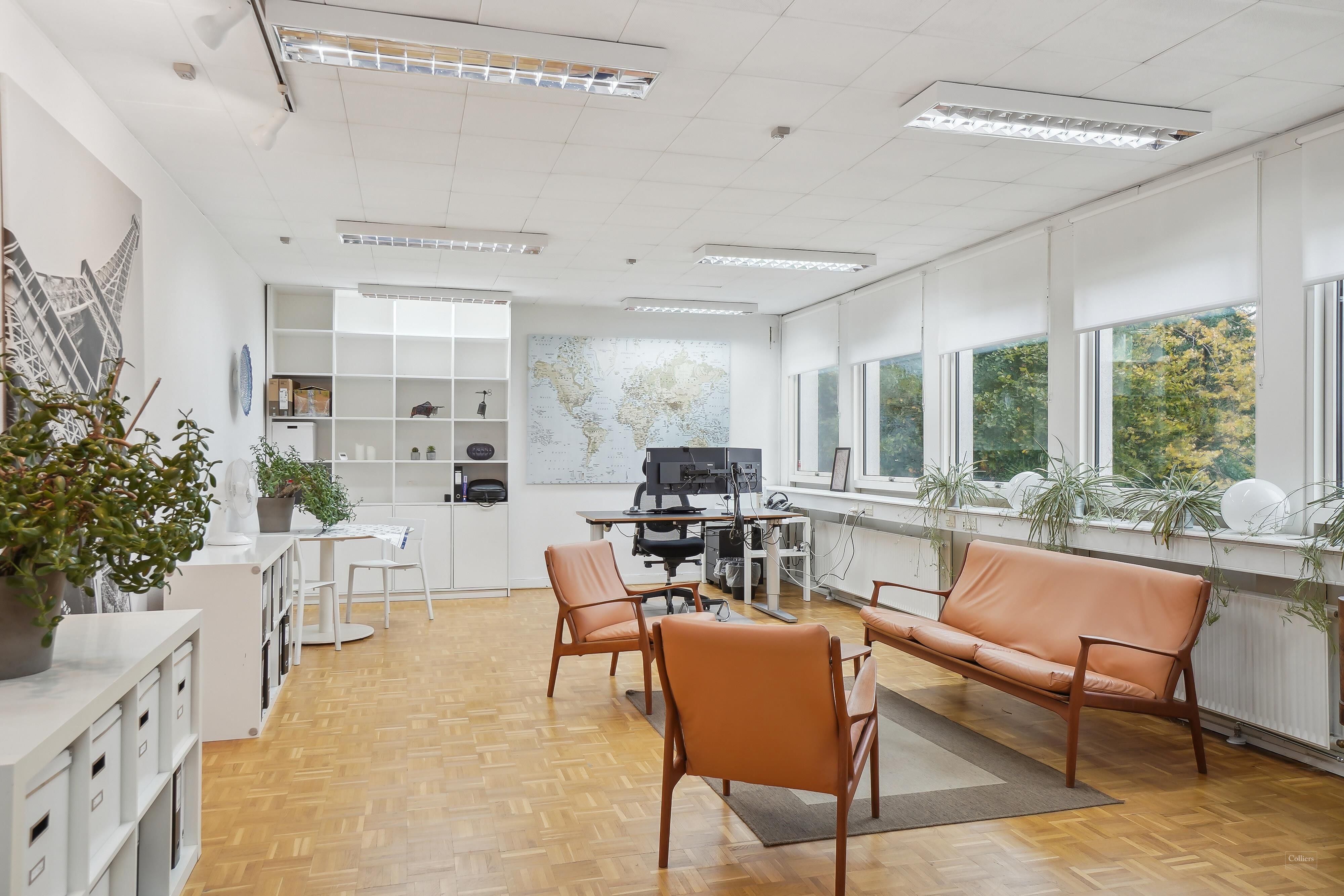 Kontorrum med moderne møbler, lyse vinduer og lysekroner, stol, skrivebord og flere grønne planter på gulvet