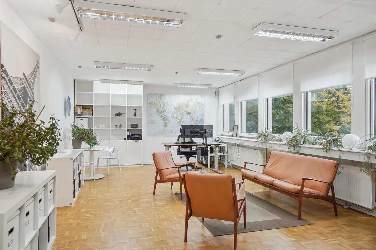 Kontorrum med moderne møbler, lyse vinduer og lysekroner, stol, skrivebord og flere grønne planter på gulvet