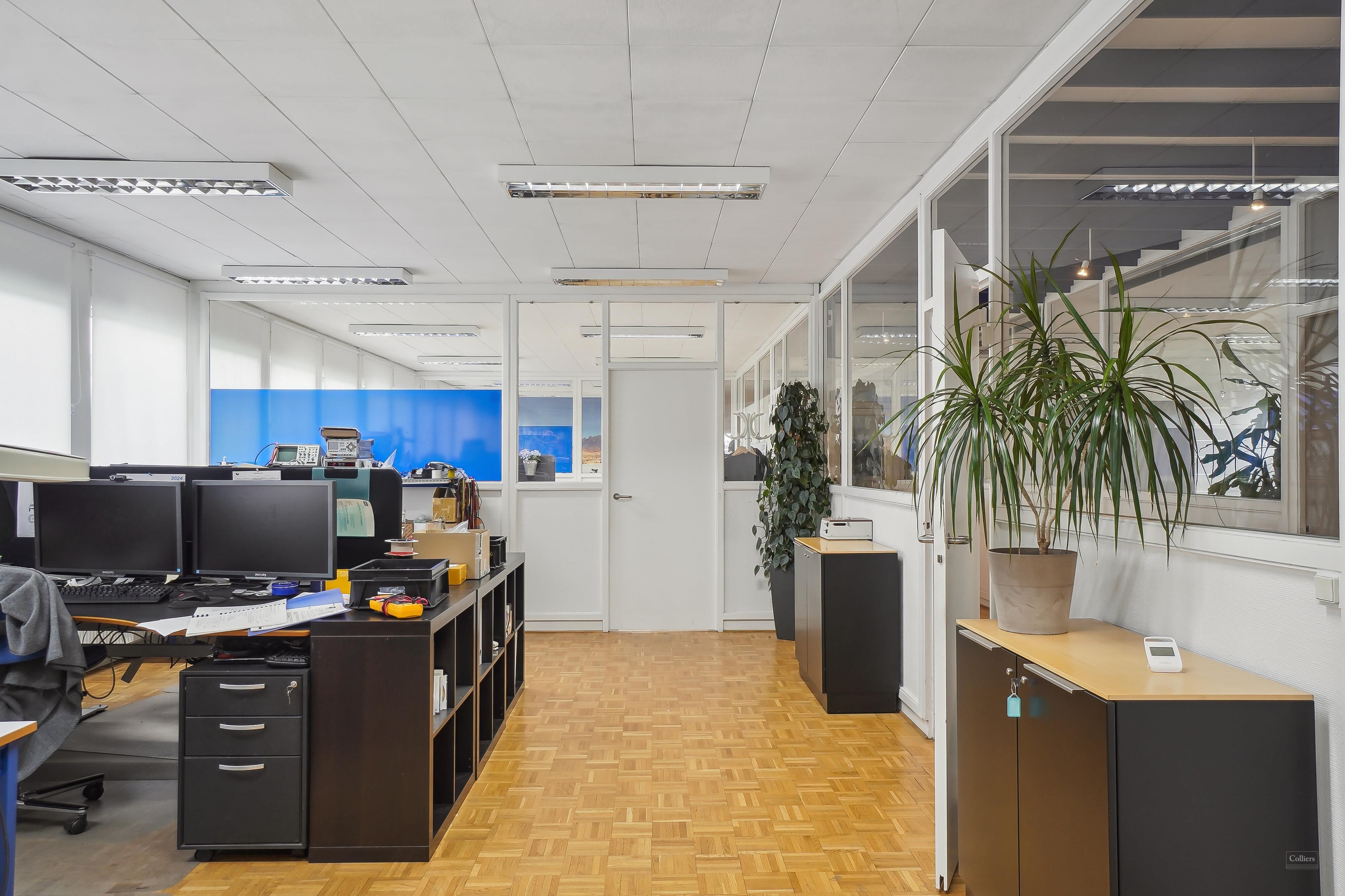 Kontor med to skriveborde, hver med to skærme, og et plantepot med grønne planter og teksthus. Gulv med træpaneler og