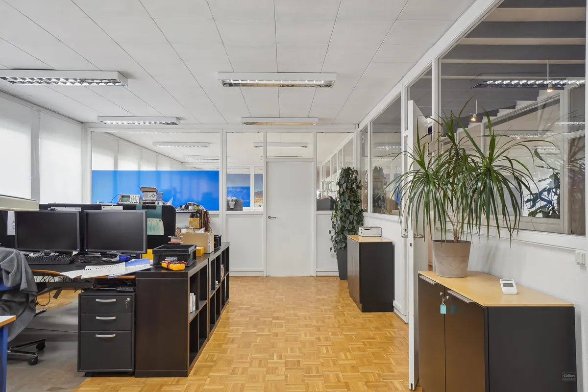 Kontor med to skriveborde, hver med to skærme, og et plantepot med grønne planter og teksthus. Gulv med træpaneler og