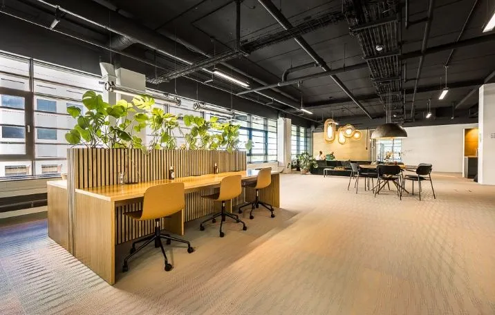 Kontorområde med masser af plads, gulve med trægulv, lange borde og stole samt vægge med planter