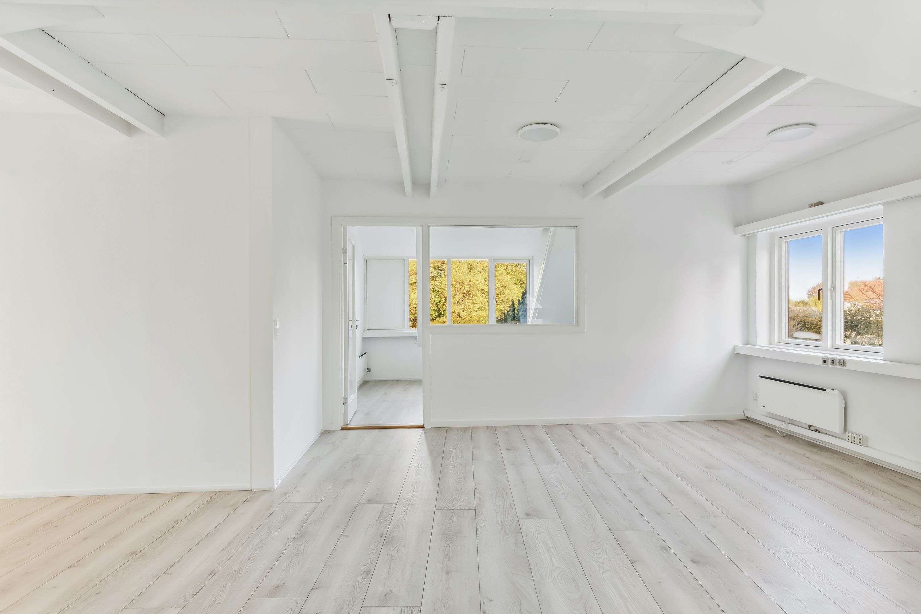 Et nyt kontor med hvide vægge og lofter samt lyse trægulve, lysekroner og store vinduer med udsigt til et lille træ i