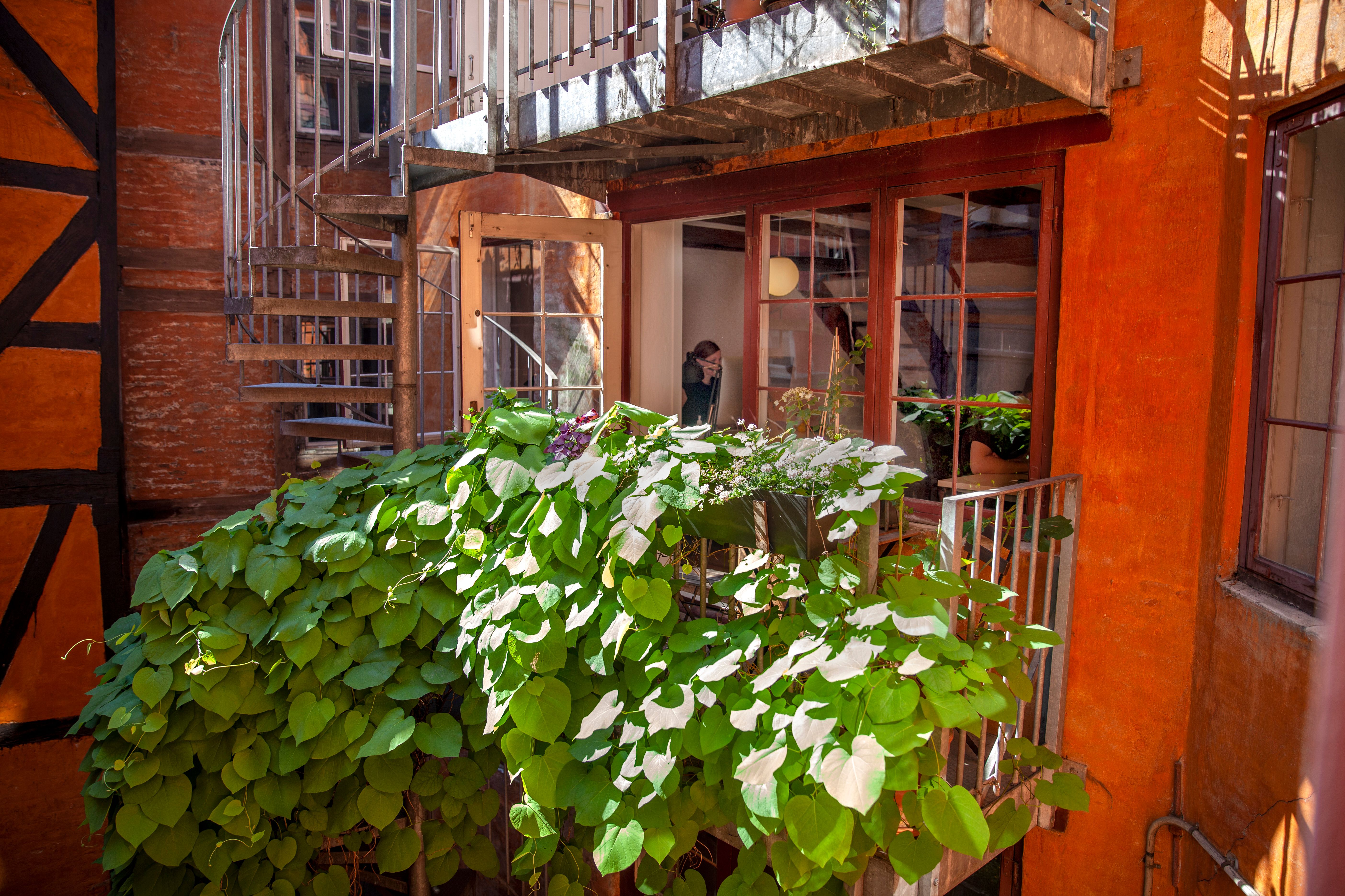 Grønne planter dækker balkonen i en lejlighed med en spiraltrappe og gulv til overs. En kvinde står i vinduet og ser ud.