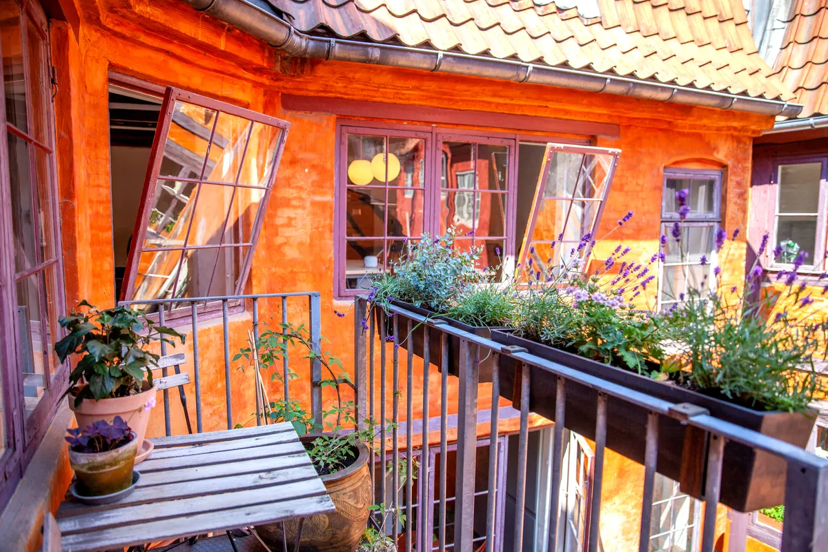 Balkon med lyserøde blomster i lyserøde potter, en lille træbord med plante, lyserødt gulv, to åbne vinduer, lyserøde ruder