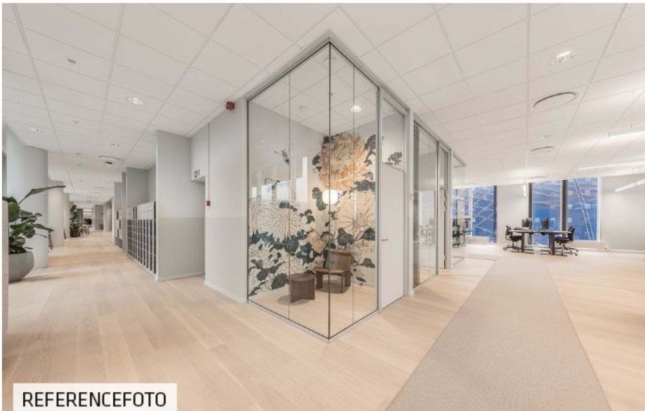 En møbelfri kontorlounge med lyse trægulve og hvide lofter og vægge samt et glasadskillelsesrum med en blomsterdekoration