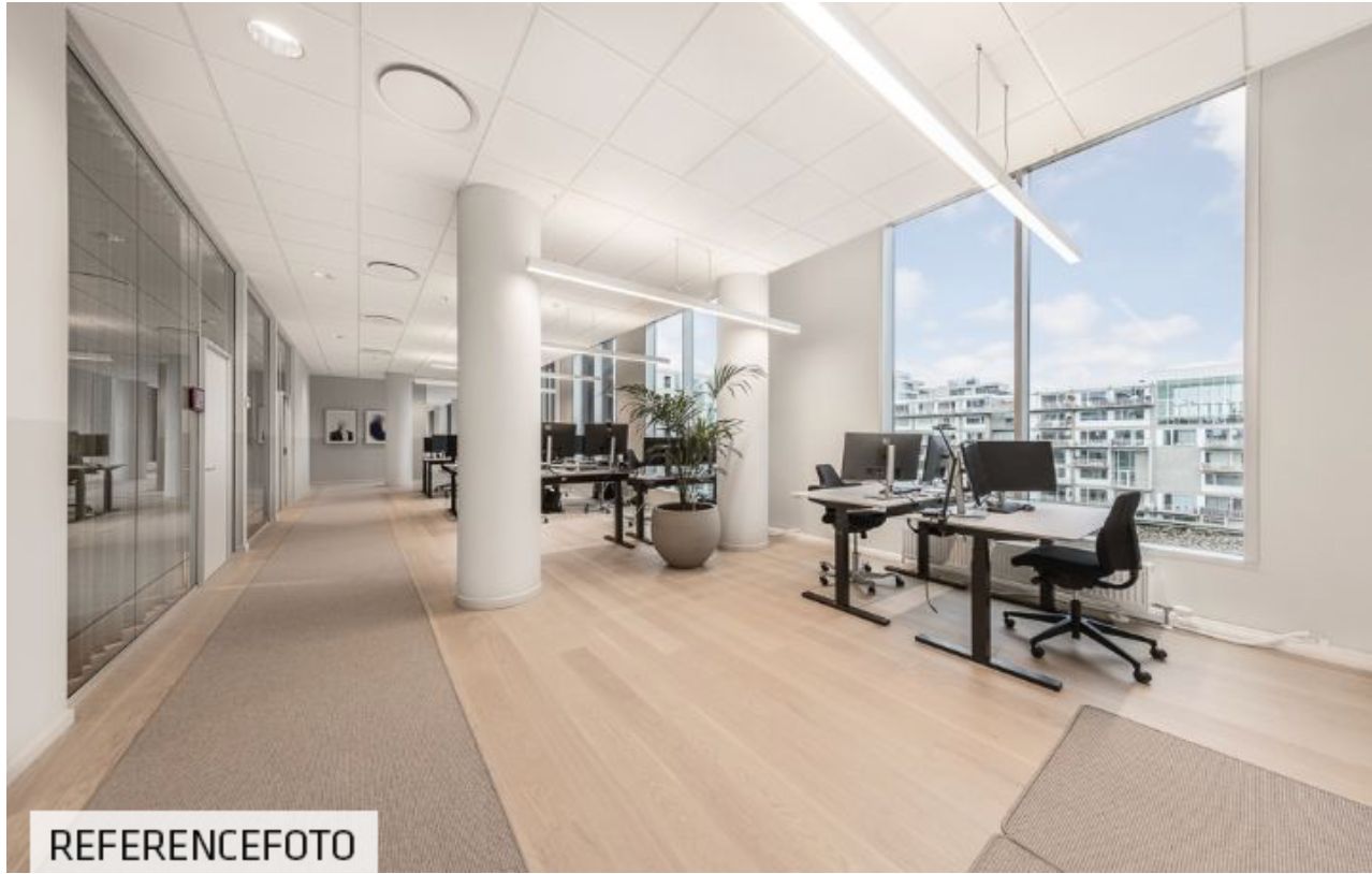 En moderne kontor med glasvinduer, højloftede og massivt trægulv. Et plantepotte står ved skrivebordet. To skriveborde og