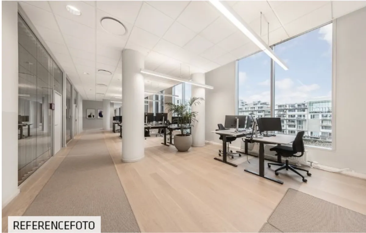 En moderne kontor med glasvinduer, højloftede og massivt trægulv. Et plantepotte står ved skrivebordet. To skriveborde og