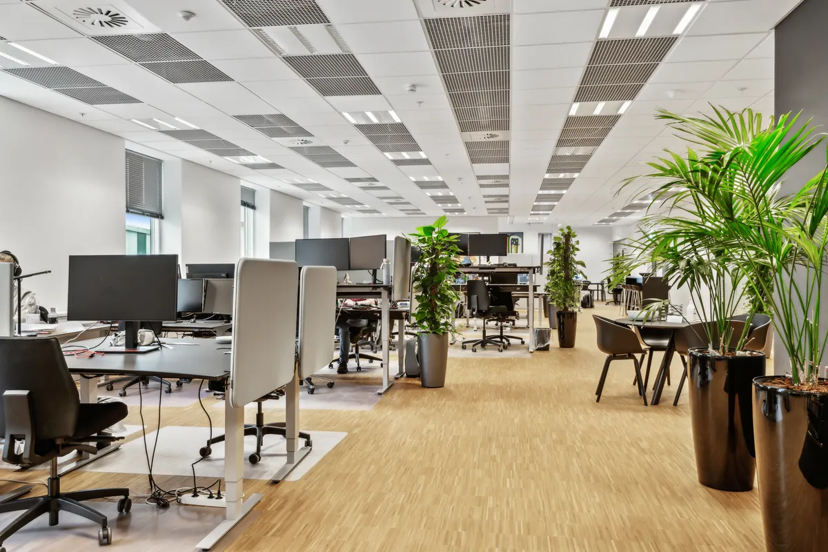 Moderne kontor med lyse lofter, lysegulve og rektangulært bord med skærme og planter