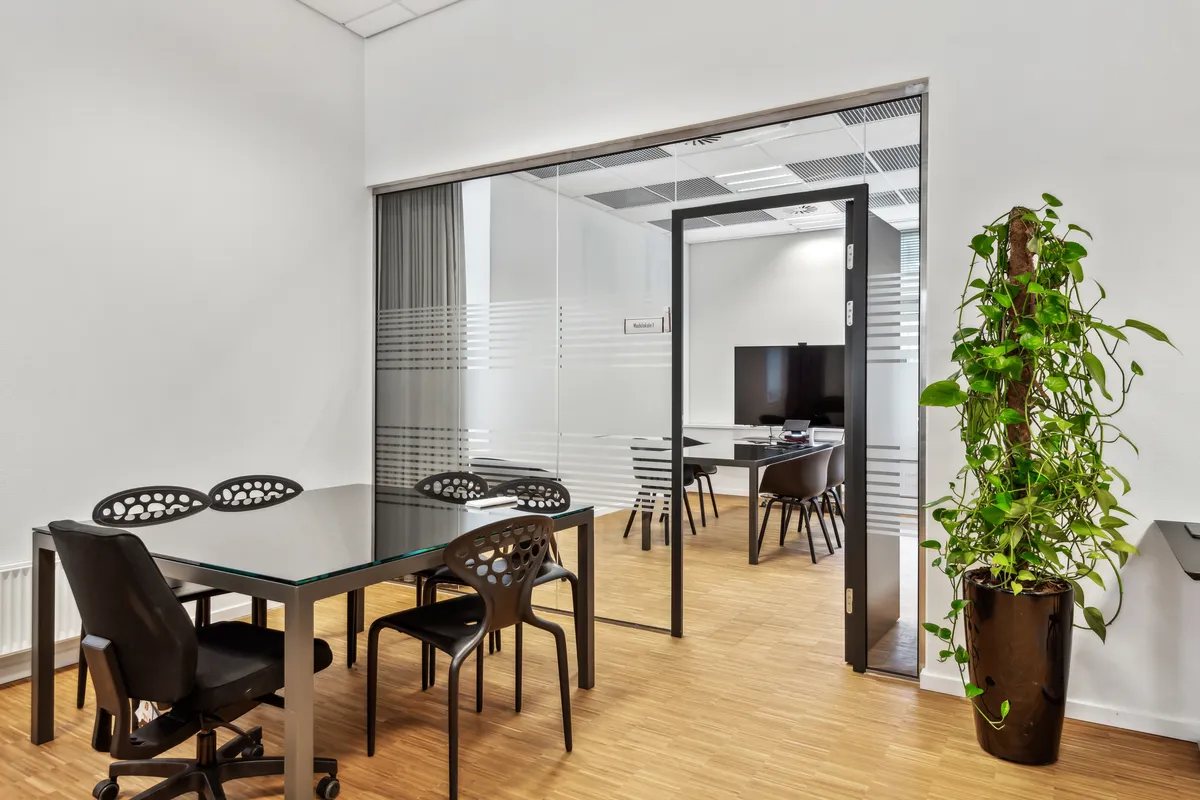 Lys kontor med moderne møbler og en stor grøn plante i en høj vase og en skrivebord med tv