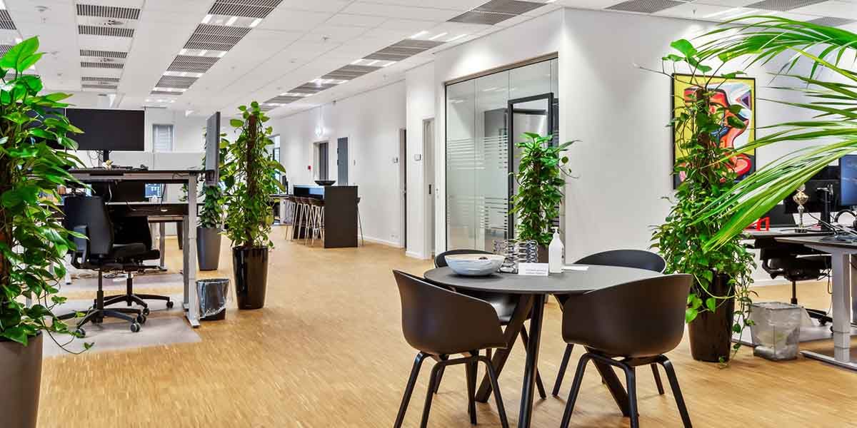 En stor og lyse kontor med moderne møbler, trægulv og høje plante i store potter