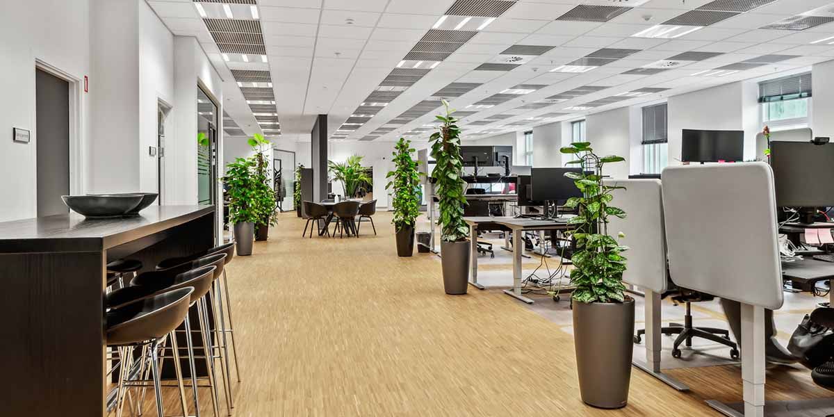 Lejemålet har et åbent kontor med bord og stol samt plante i store lyse farvede potter på gulvet