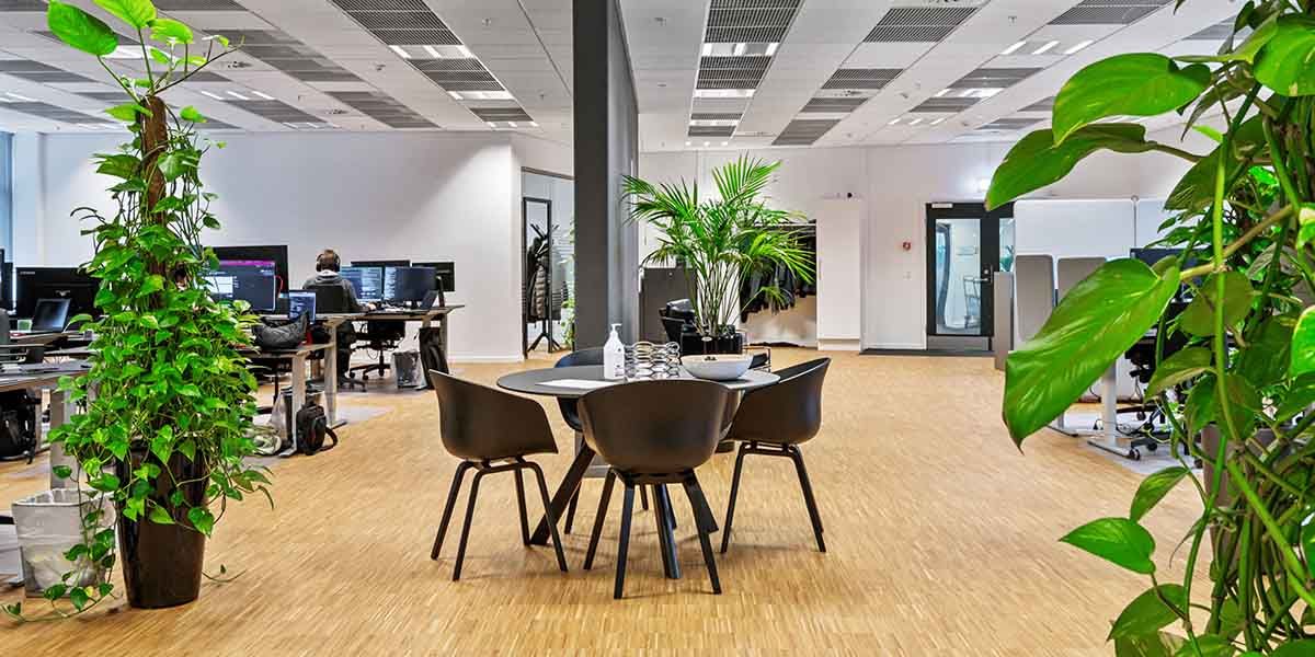 Kontorrum med høje planter, lysegult gulv og møbler i lysebrunt og sort. To personer sidder foran monitorer med computere,