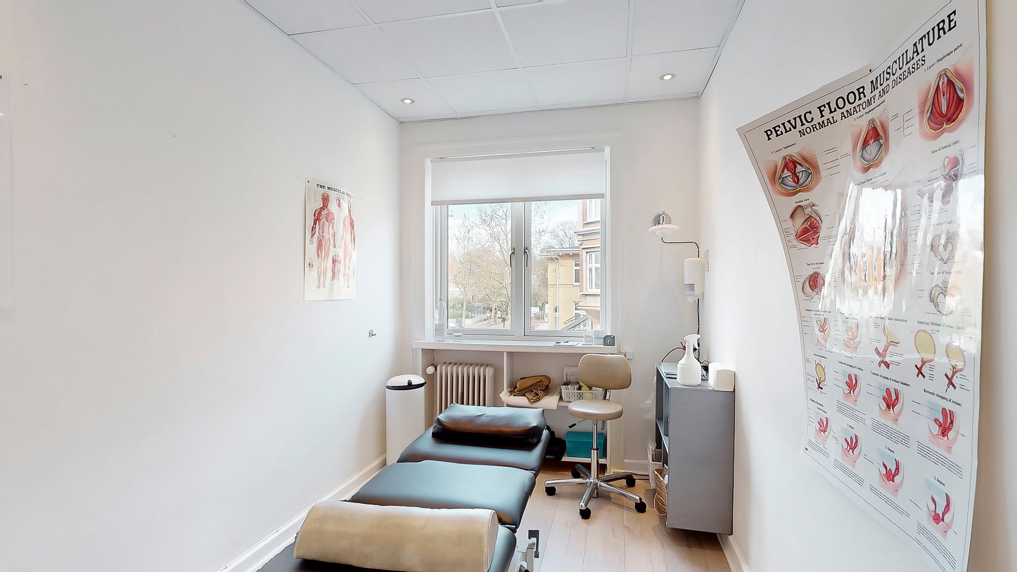 Tæppe på gulvet, to behandlingsborde, lægestol, stel med desinfektionsspray, væg med informationsplakat og tavle med skelet,
