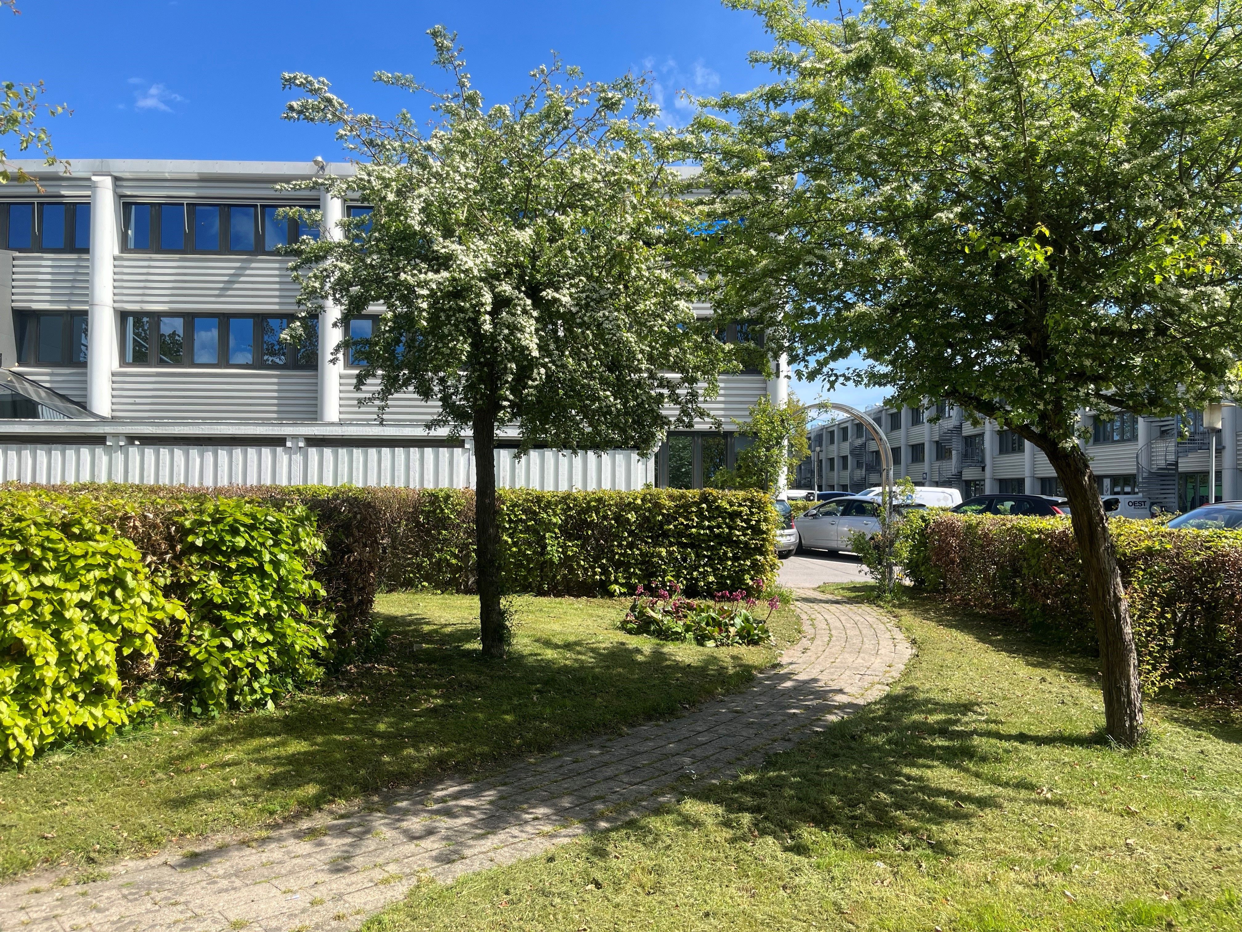 Lejemål i Herlev med smukke træer, grønne buske og parkeringsplads med biler