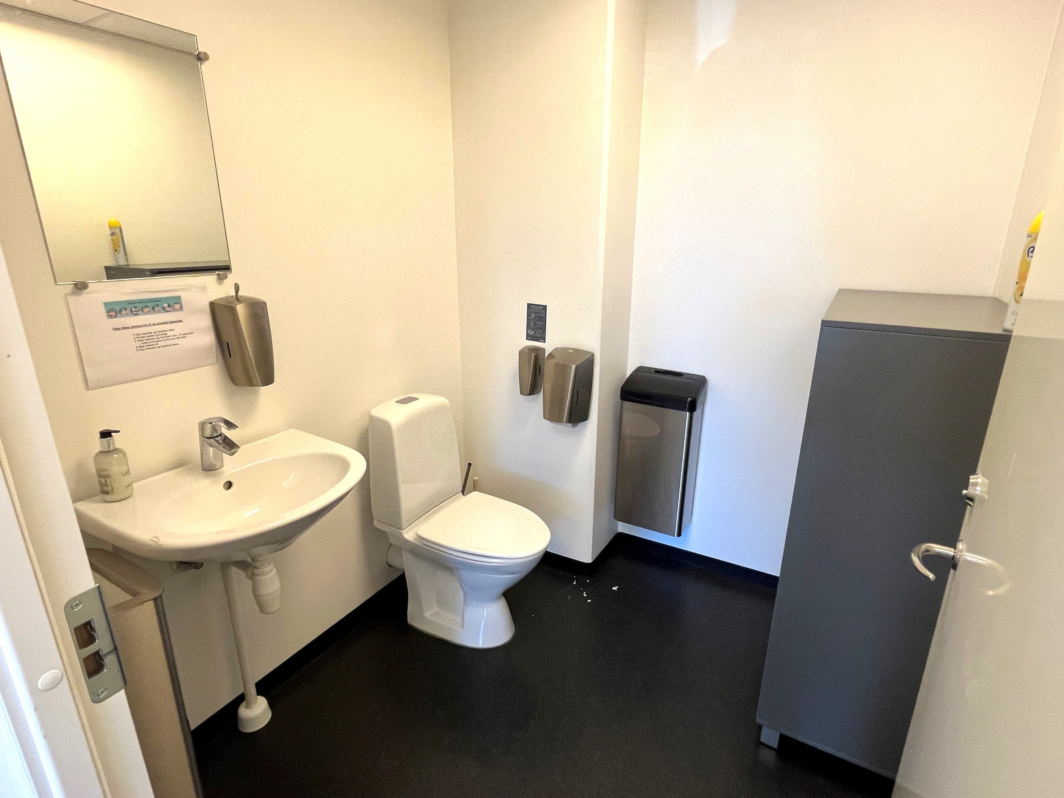 Et lille toilet med hvidt toilet, hvidt vask og sæbe i en håndvask samt en tørretumbler og et papkasse-affaldskurv