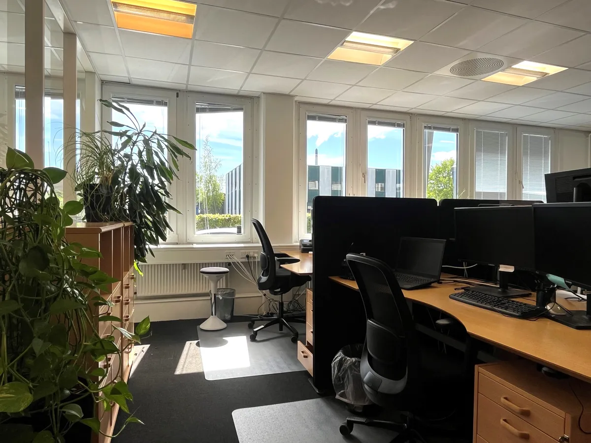 Kontor med lyse møbler, vinduer, kontorbure, skrivebord, computere, plante og stol.