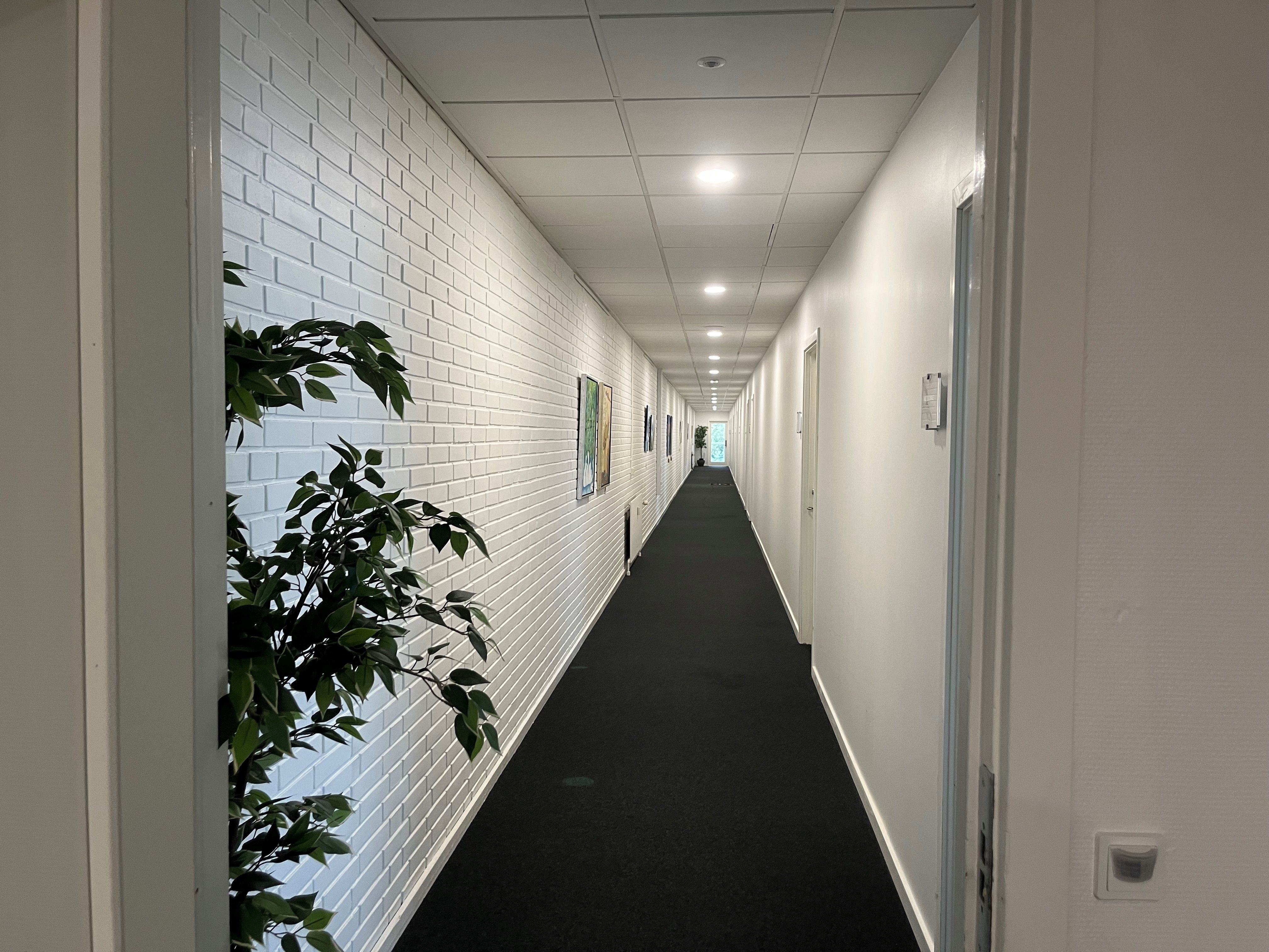 Langt, mørkt og smal korridor med to hvide vægge og mørke gulv. Plante og malerier på den ene væg. Mange døre langs
