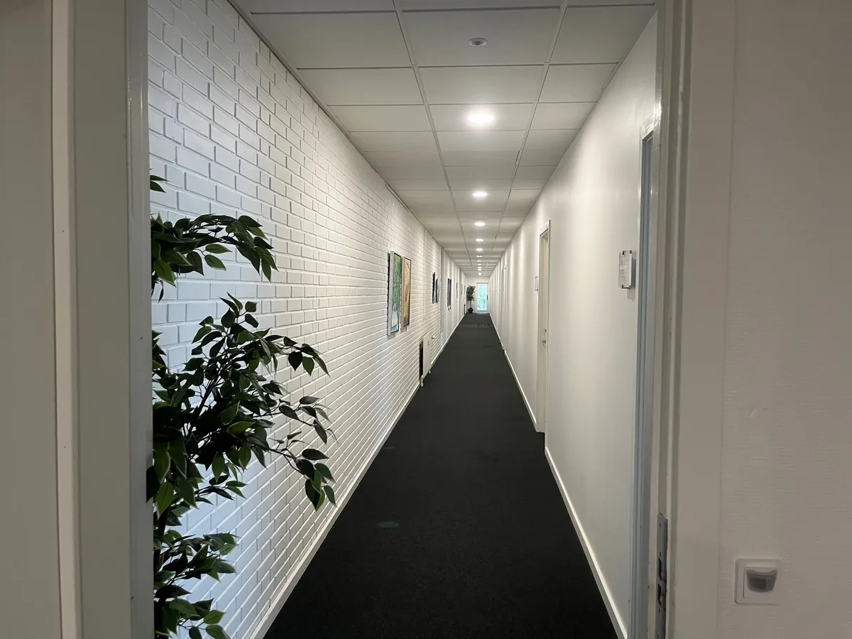 Langt, mørkt og smal korridor med to hvide vægge og mørke gulv. Plante og malerier på den ene væg. Mange døre langs