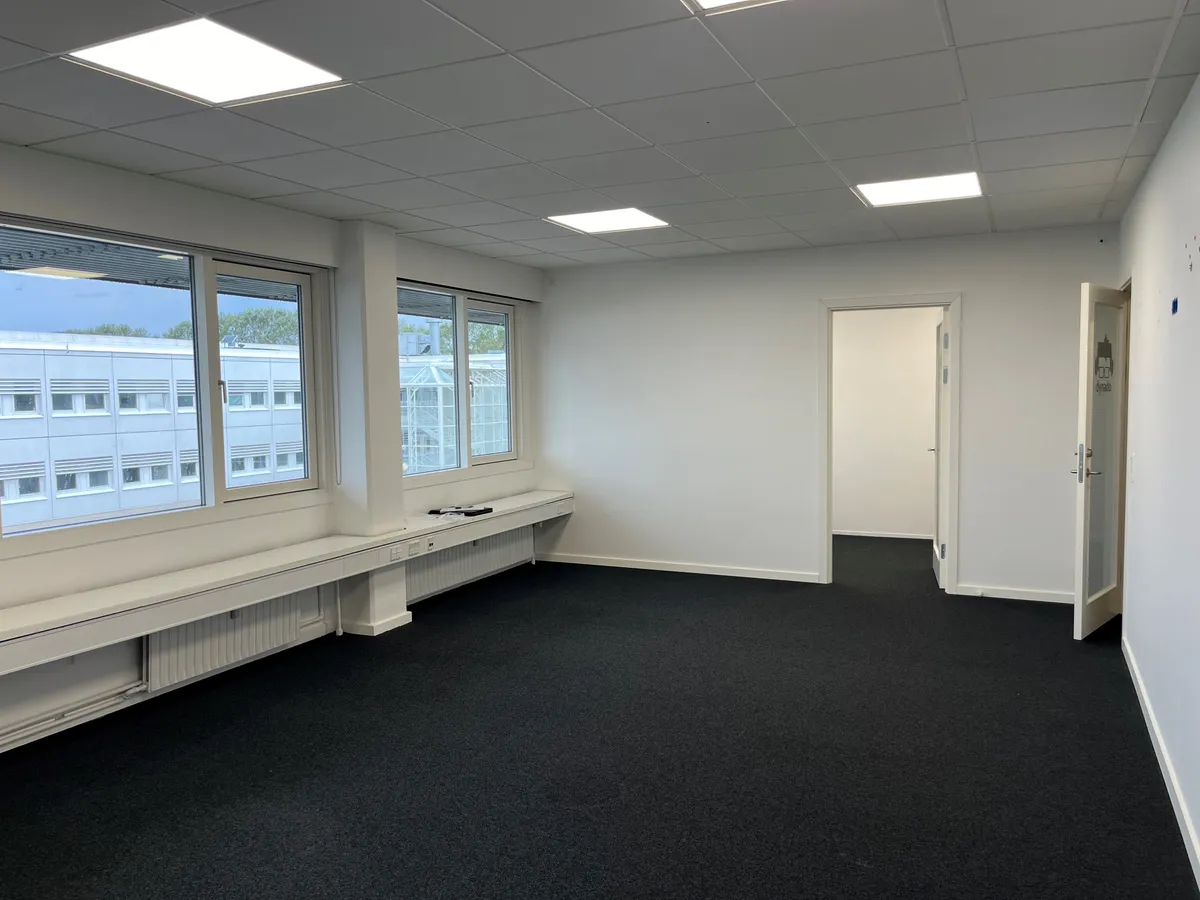 En stor tom kontorrum med hvide vægge, højt gulv og hvide loftspaneler med indbygget belysning samt vinduer og døre