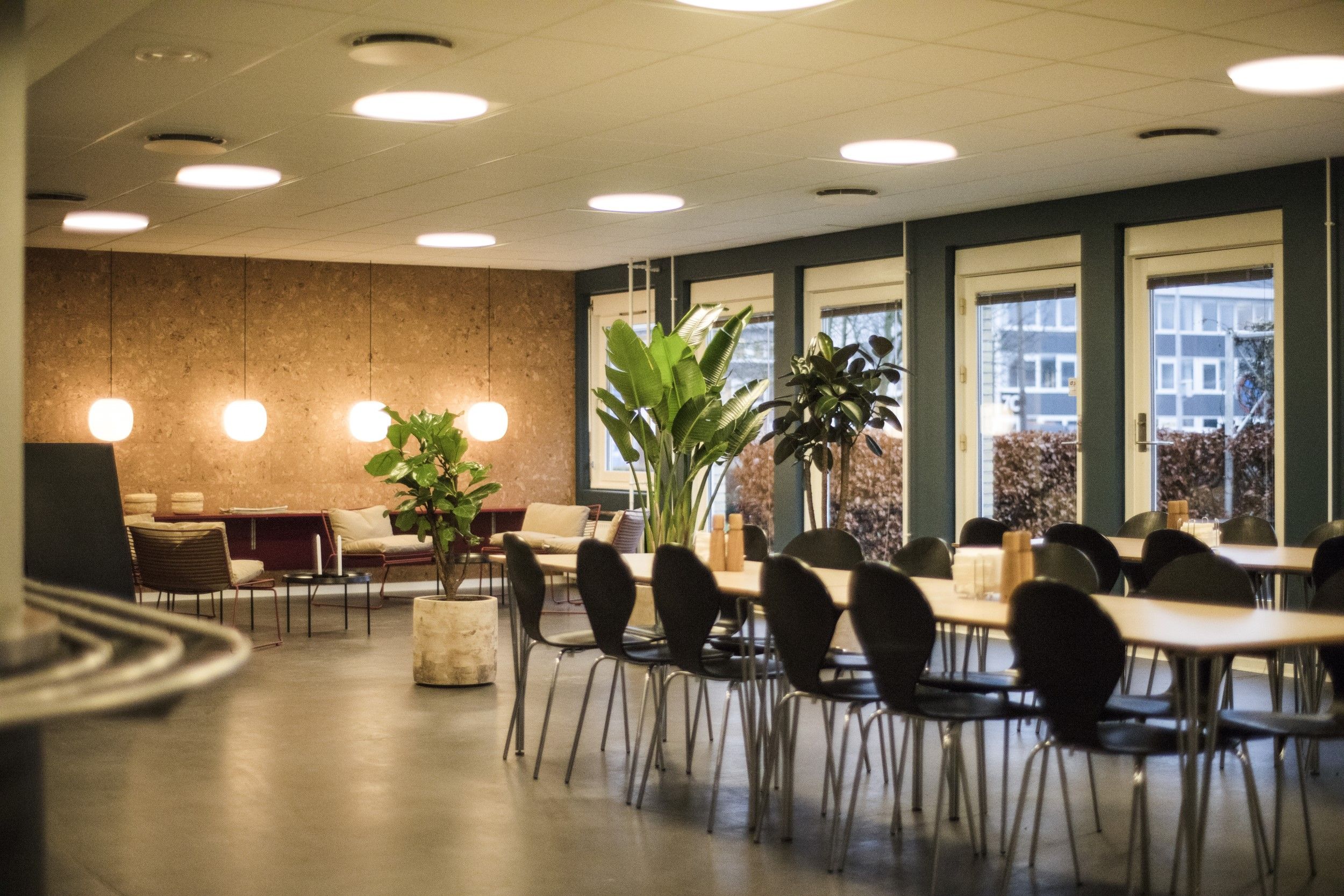 Fælles kantine med møbelsæt og plantepotte i en moderne kontorbygning med lysdekorationer og vinduer med udsigt til gaden
