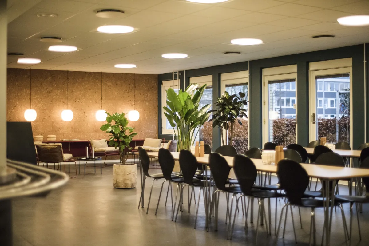 Fælles kantine med møbelsæt og plantepotte i en moderne kontorbygning med lysdekorationer og vinduer med udsigt til gaden