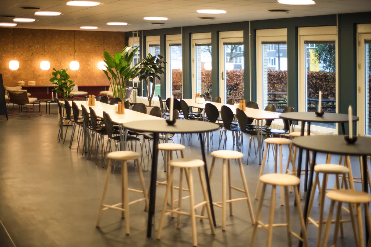 Kontor med bord og stole samt vinkler og plantager og lysekroner og vinduer og lysekroner