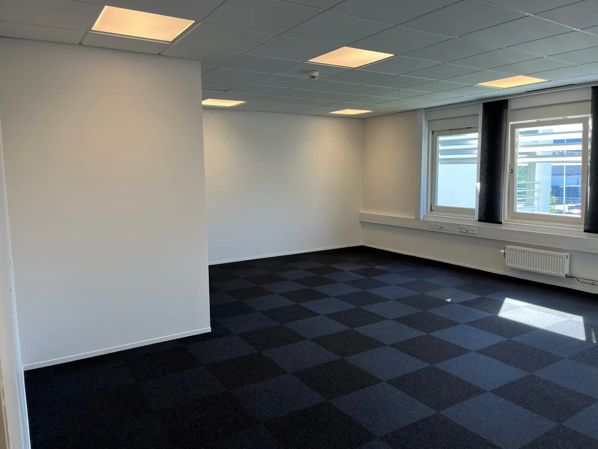 En tom kontorlokale med hvide vægge og loft samt en tæppegulv med skakfigurer og smukke vinduer med sollys