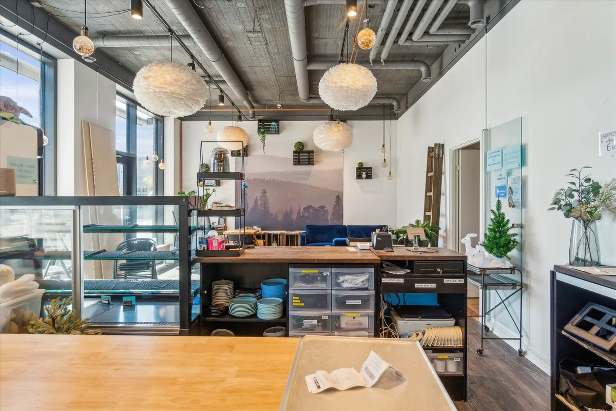 Forretningslejemål med lyse loftslampe, møbler, spisestue og plantehyller, sammen med en dekorativ indretning