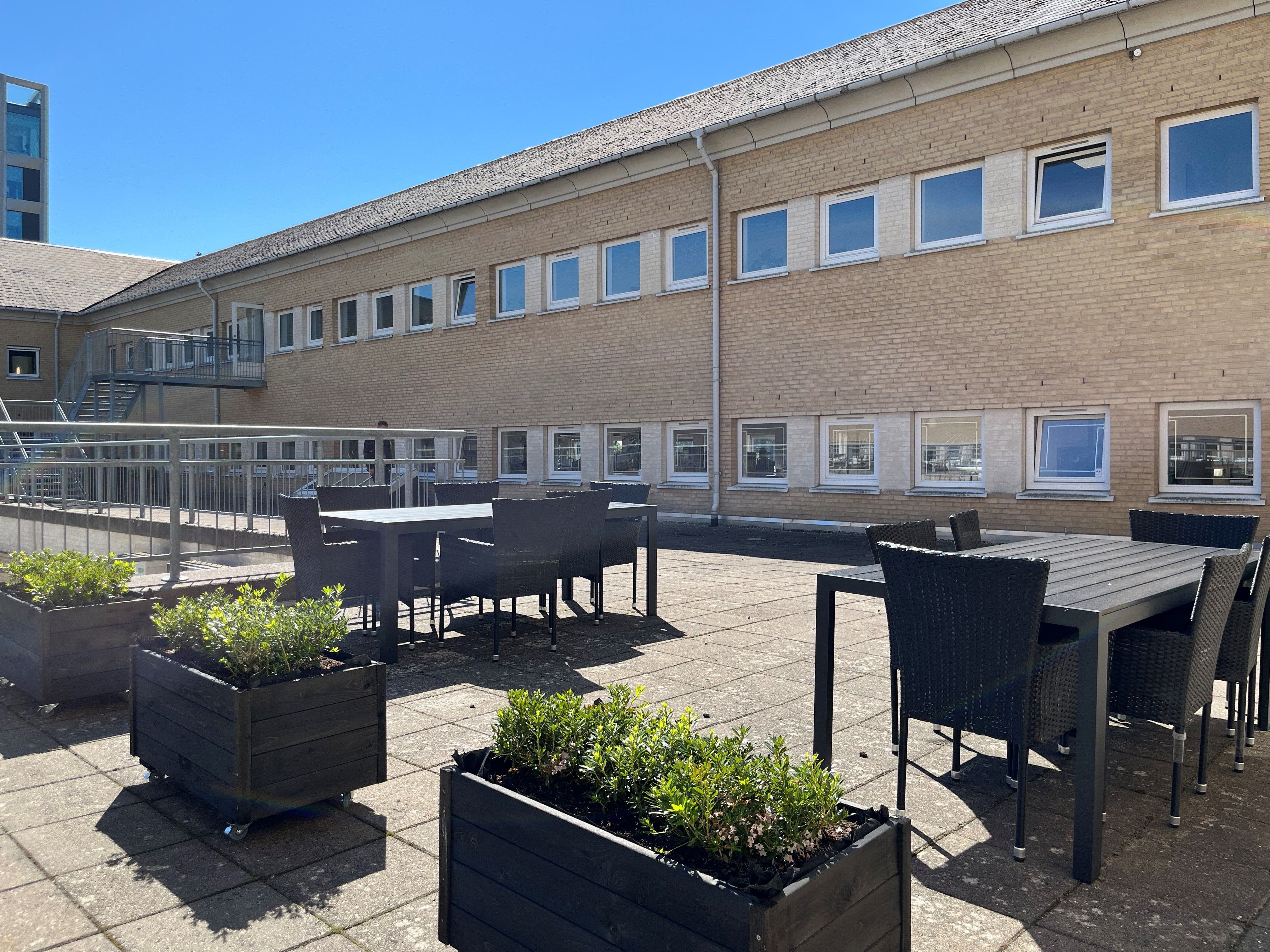 Store mødeborde og stole i en stor, moderne bygning med mange vinduer og en indendørs have