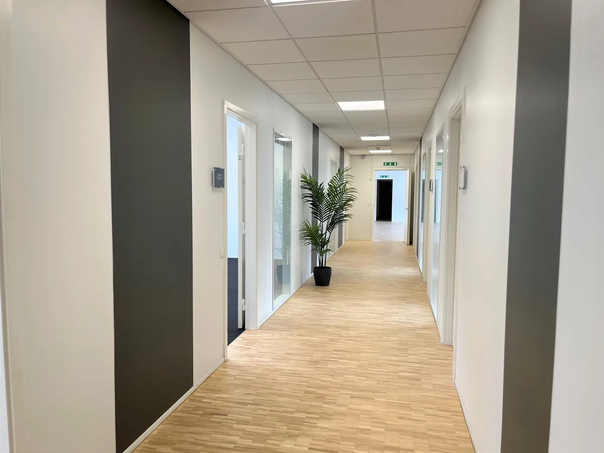 Kort, lyse, trægulvede korridor med vægge og døre i hvidt og gråt. Plante ved højre side. Korridoren er tom og ledig.