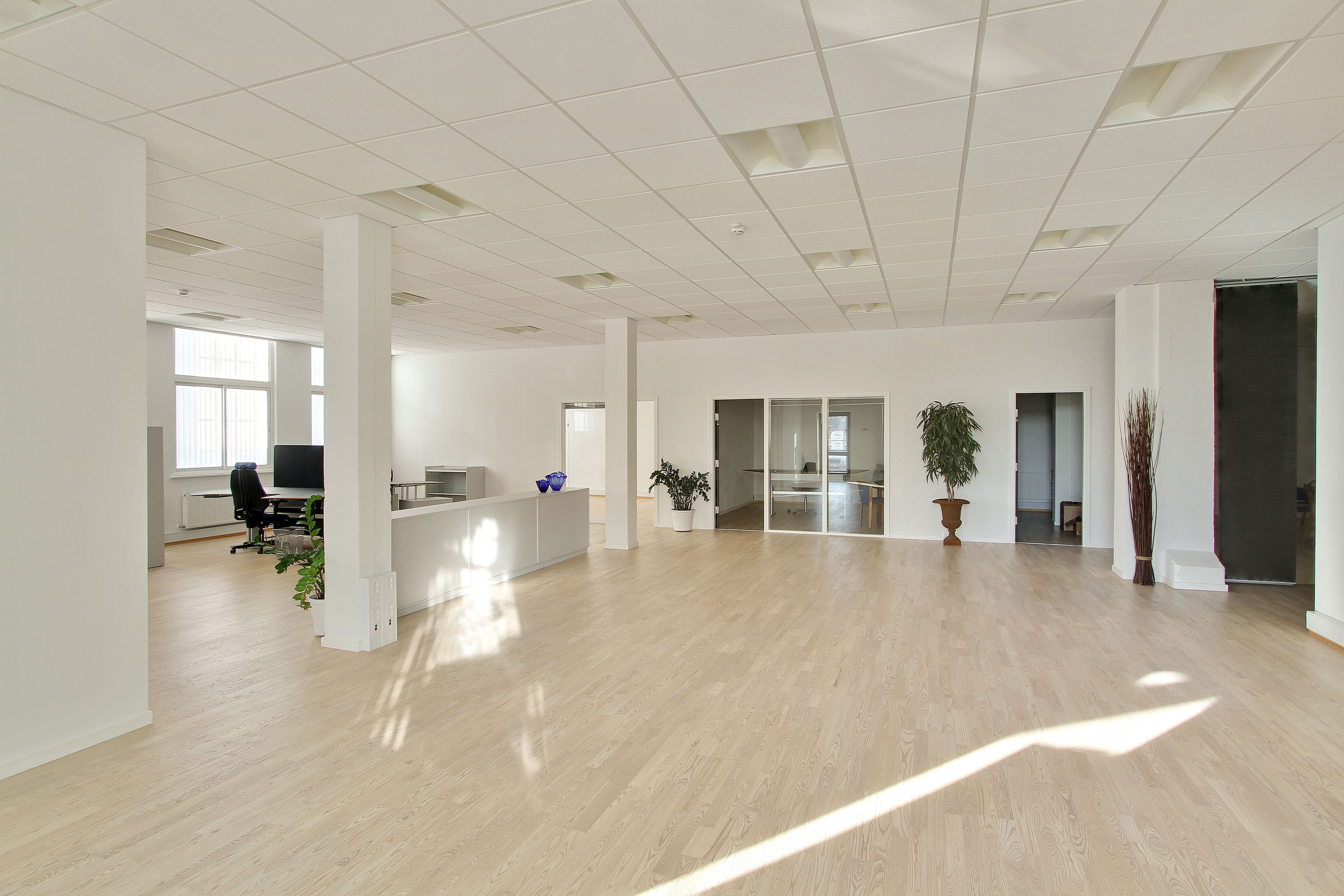 Et ubeboet kontor med hvide vægge, højt til loftet, en reception, flere glasdøre og vinduer samt trægulve