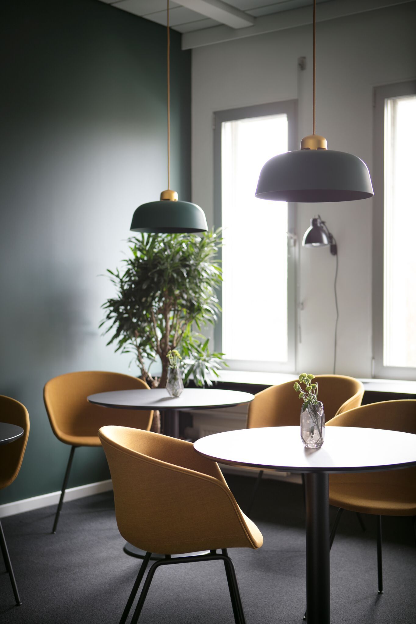 Moderne kontor med runde bord og lysekroner, møbler og en stor plante. Gule stole med smukke blomster i glassflasker.