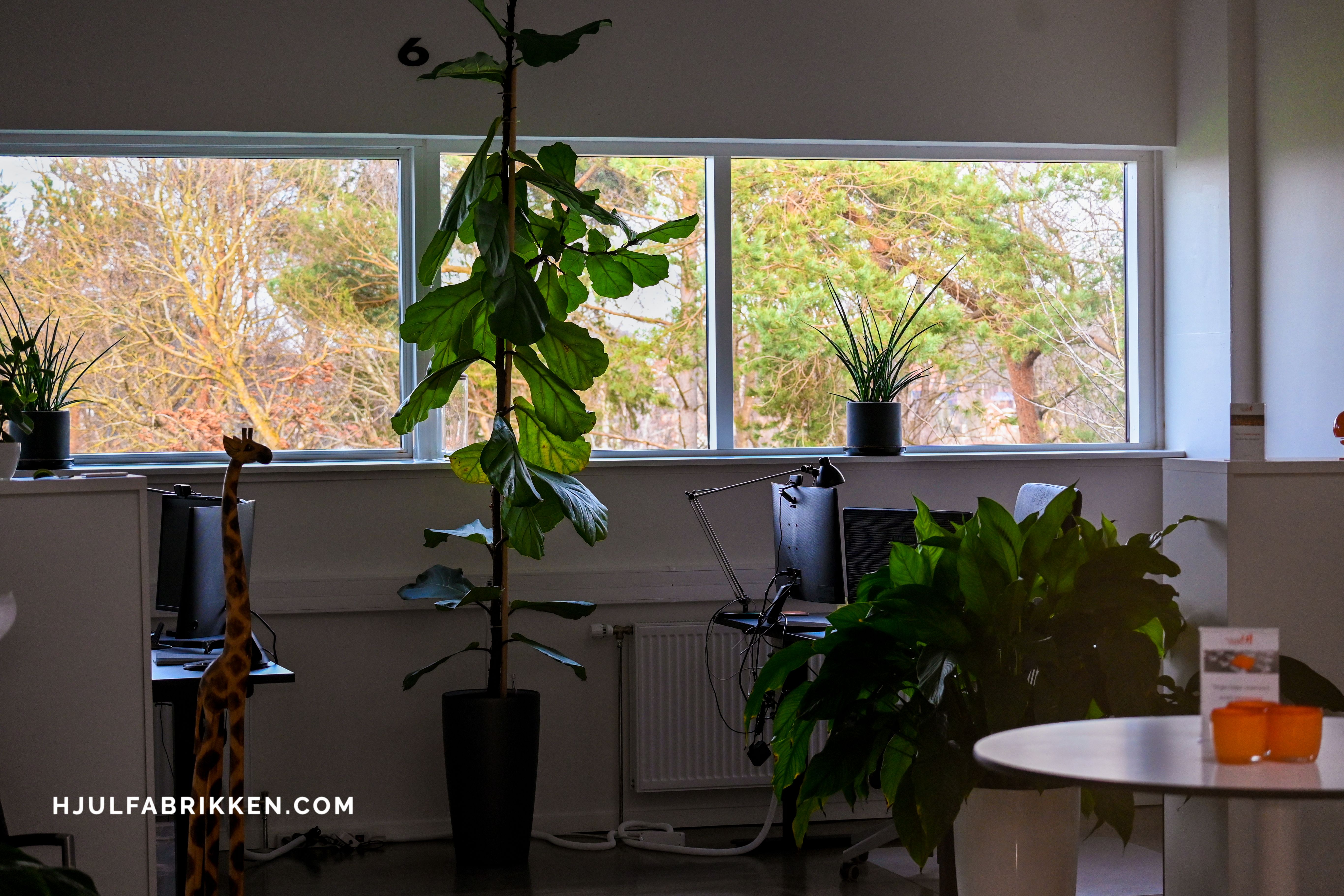 Forsidebillede af lokale