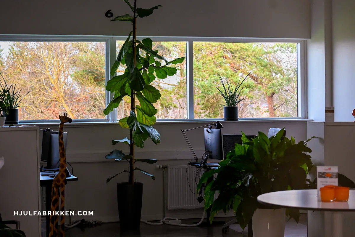 Forsidebillede af lokale