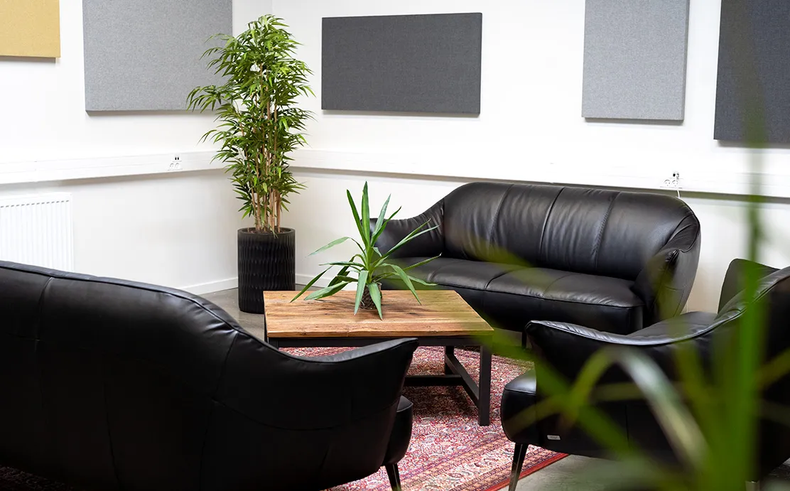 Sorte lædersofaer og en træbord med en plante. Væggen med hvide paneler og gulvtæppe med orientalsk mønster. Et stort