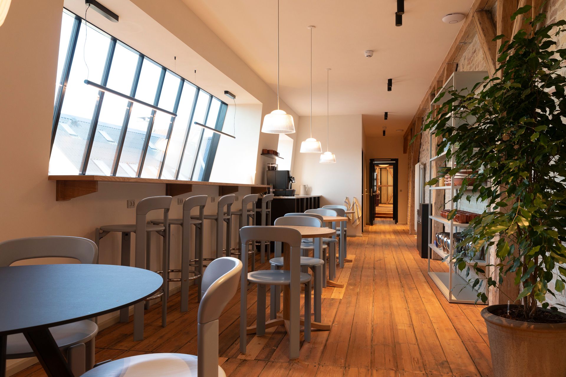 En lys, veludstyret café med lyse loftsvinduer, møbler og gulv samt en stor plante i hjørnet