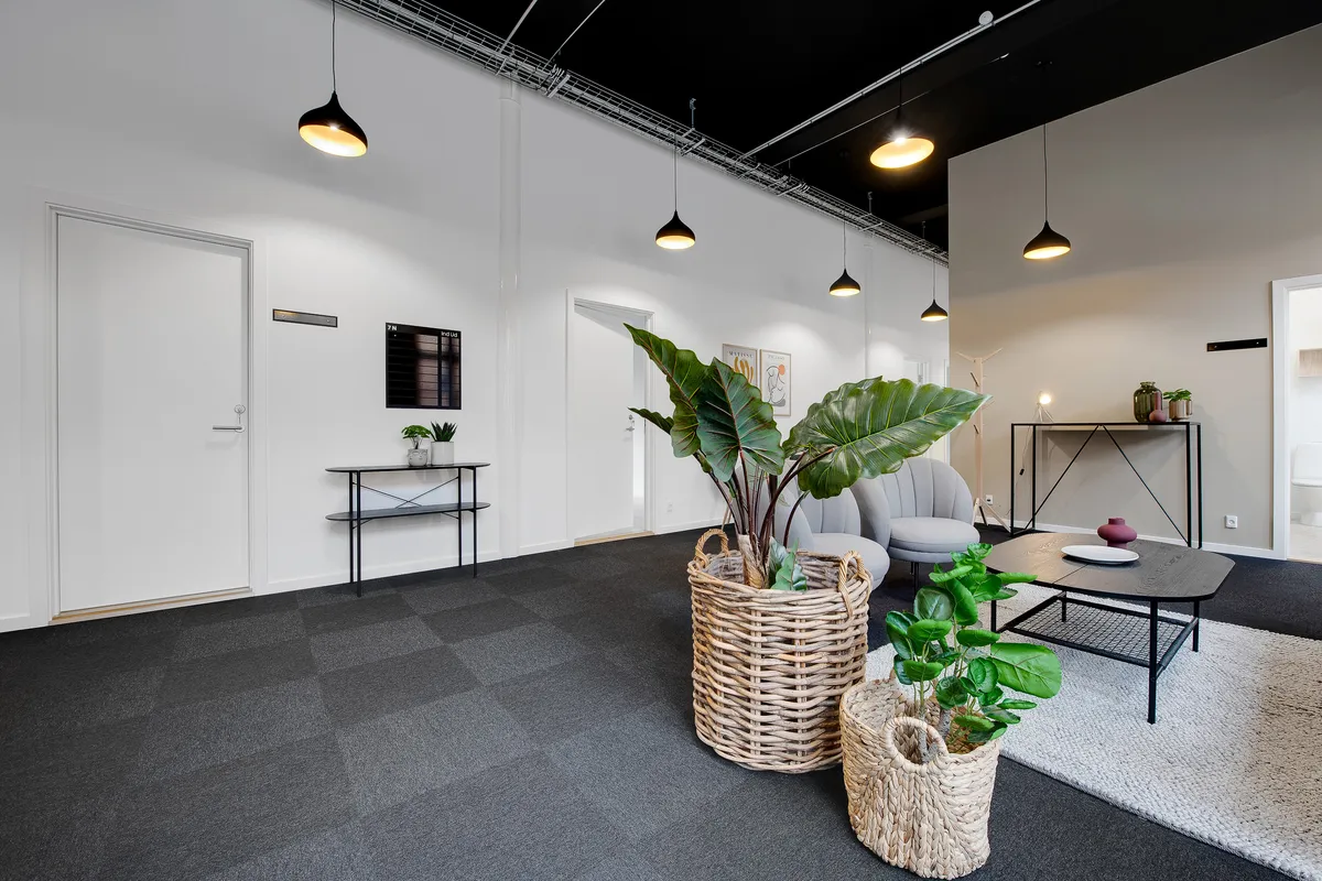 En lille stue med hvid væg og loft samt et sort gulv. I stuen er der et bord, to kurve med planter og en stol.