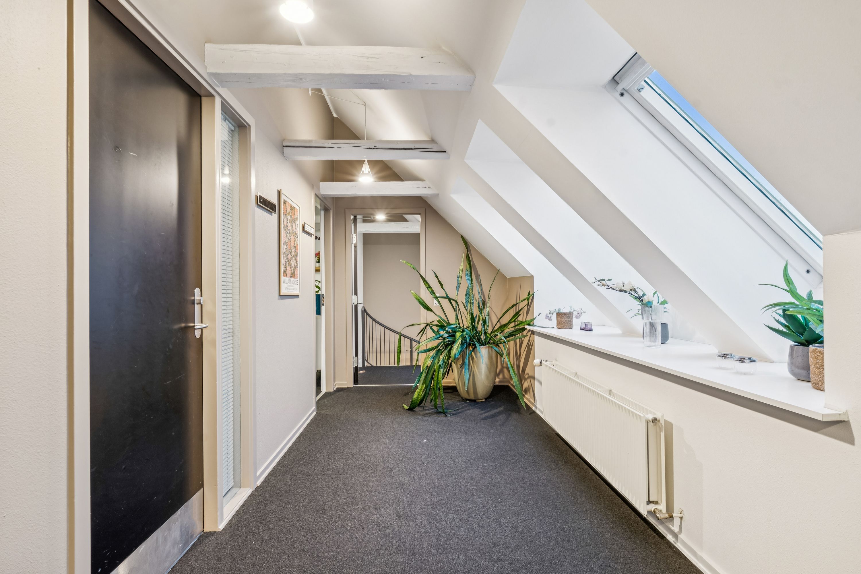 Kontorfællesskab med møbleret atrium, grønne planter og lys, lyse loftsrum med en radiator og vinduer med udsigt til himlen