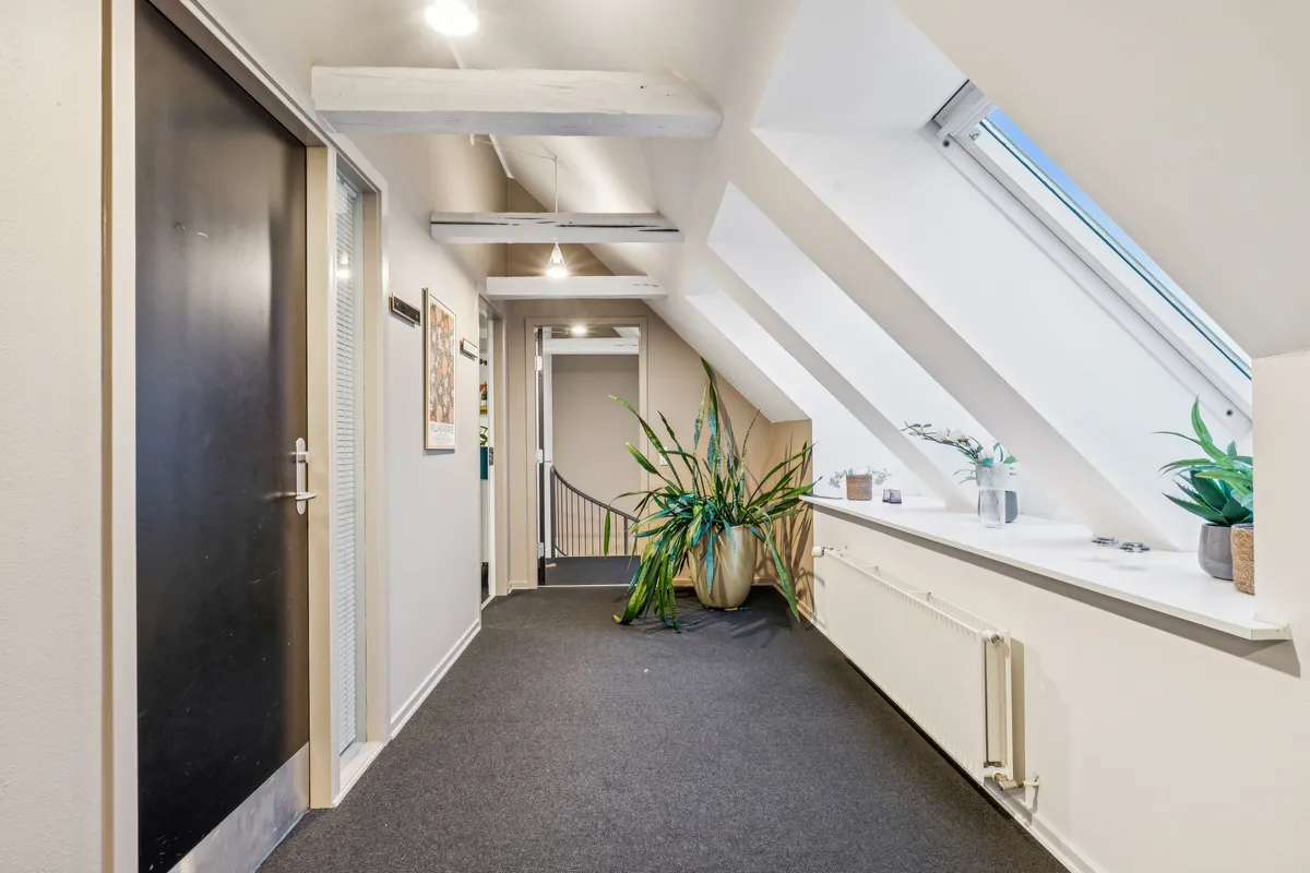 Kontorfællesskab med møbleret atrium, grønne planter og lys, lyse loftsrum med en radiator og vinduer med udsigt til himlen