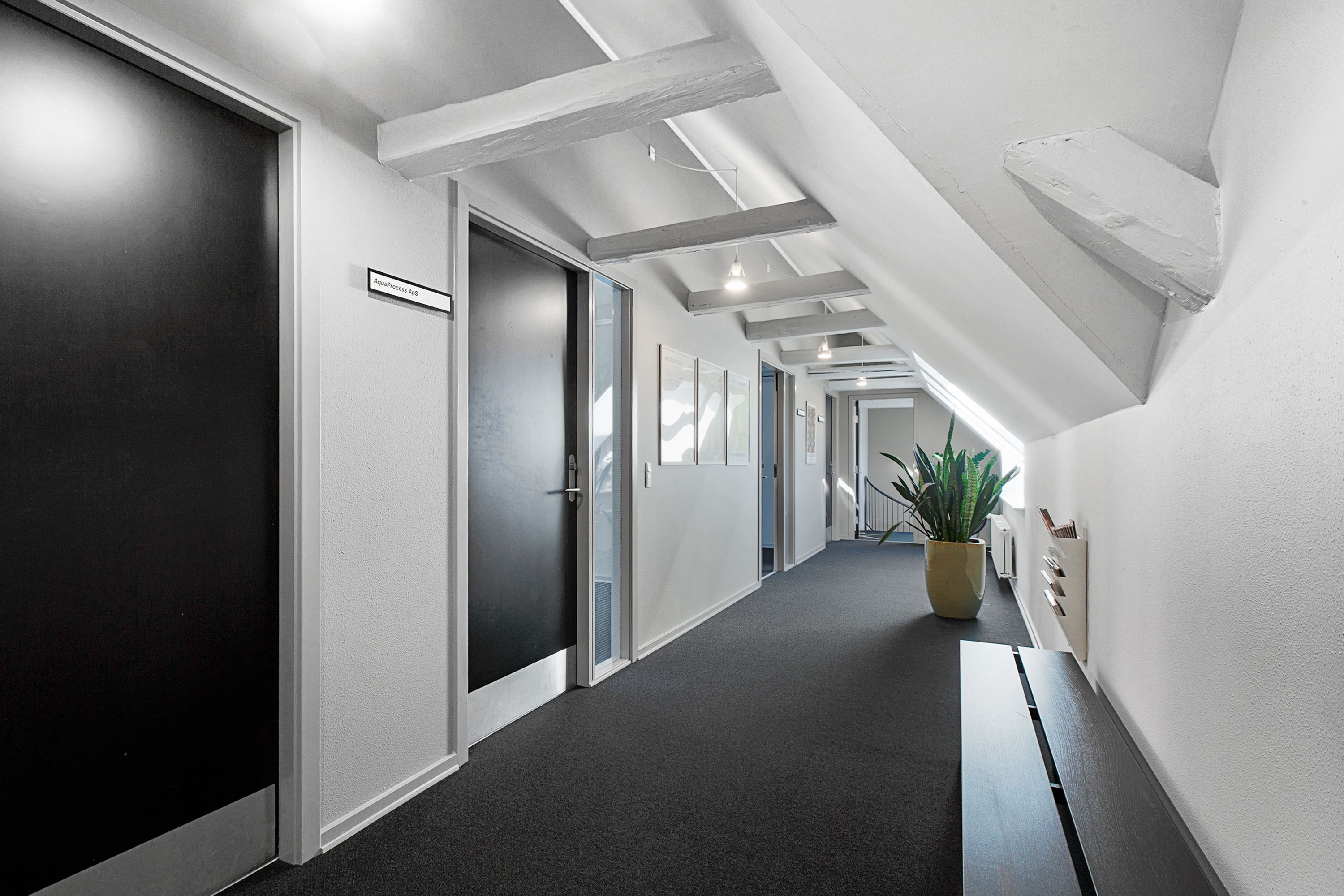 Kontorhuse med lyse lofter og lysekroner. Pladserne er fordelt med plantepotter og vægmonterede hylder. Farver som sort og